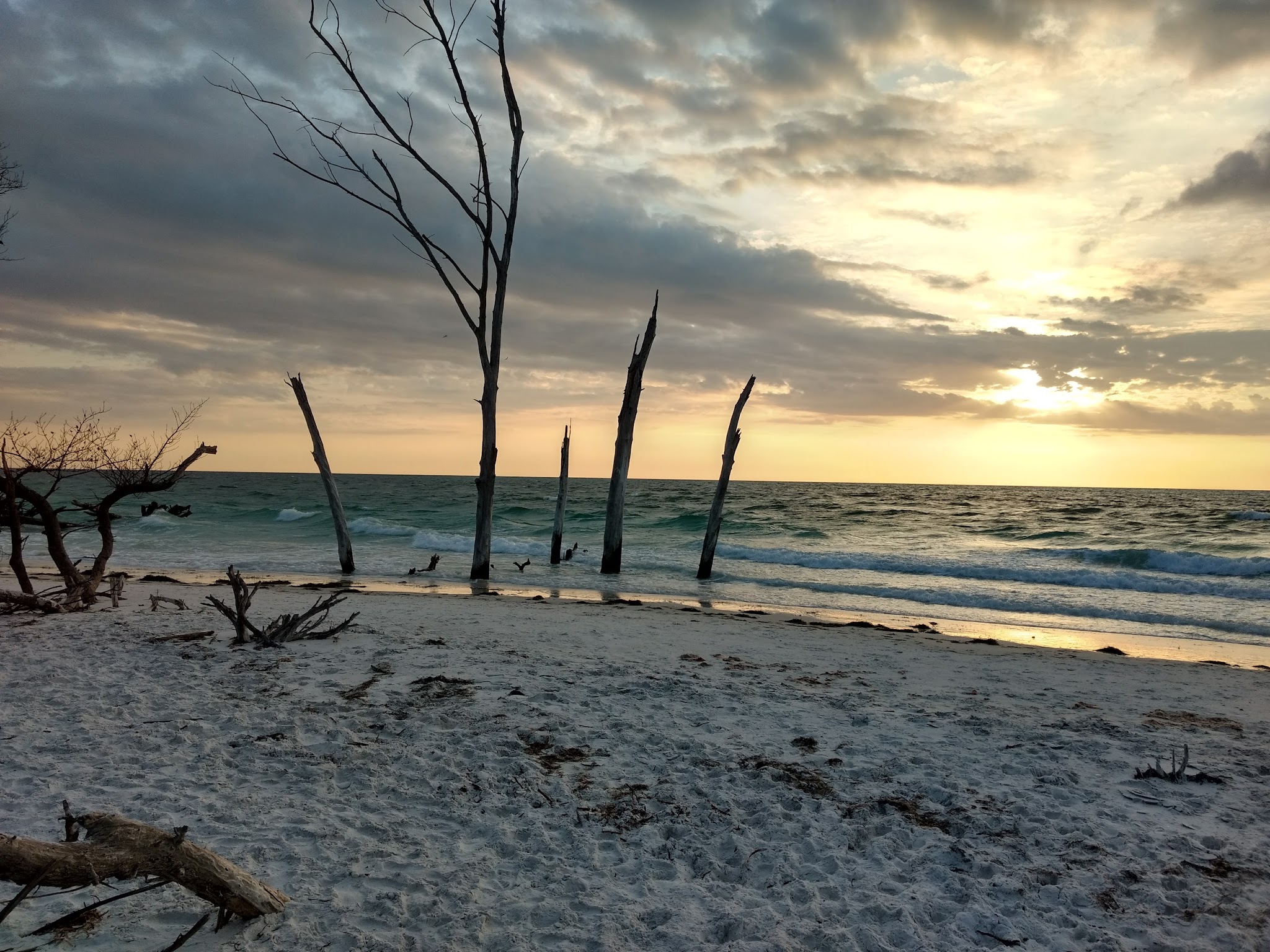 Beer Can Island - Longboat Key, FL