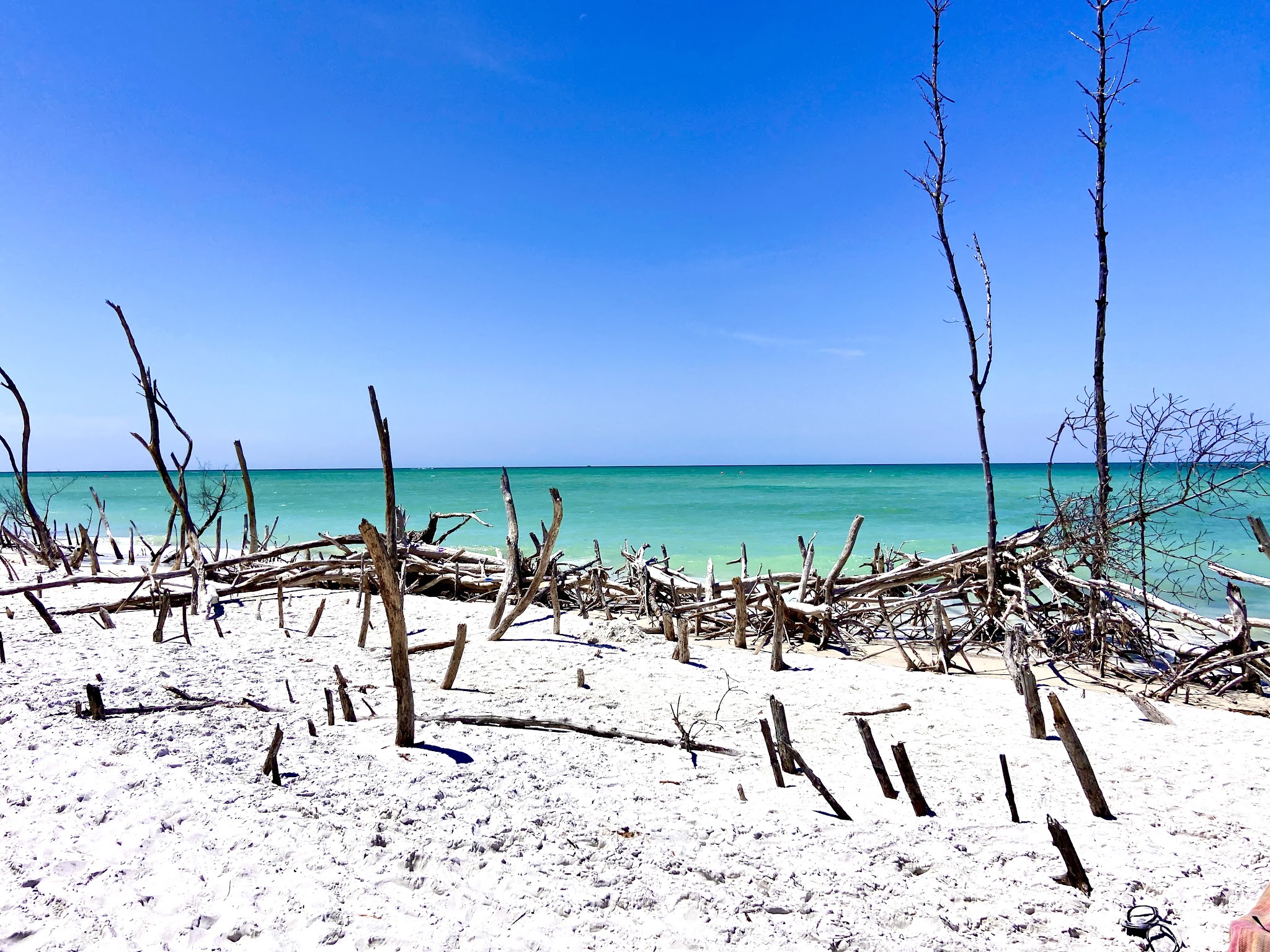 Beer Can Island - Longboat Key, FL