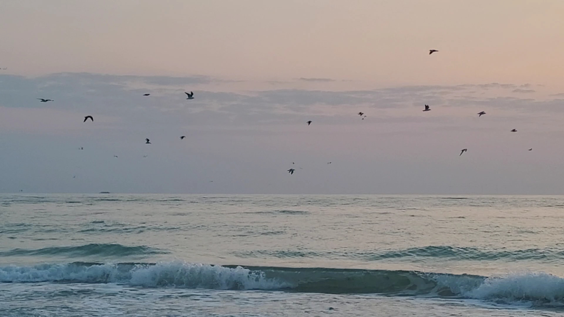 Public Beach Access - Longboat Key, FL