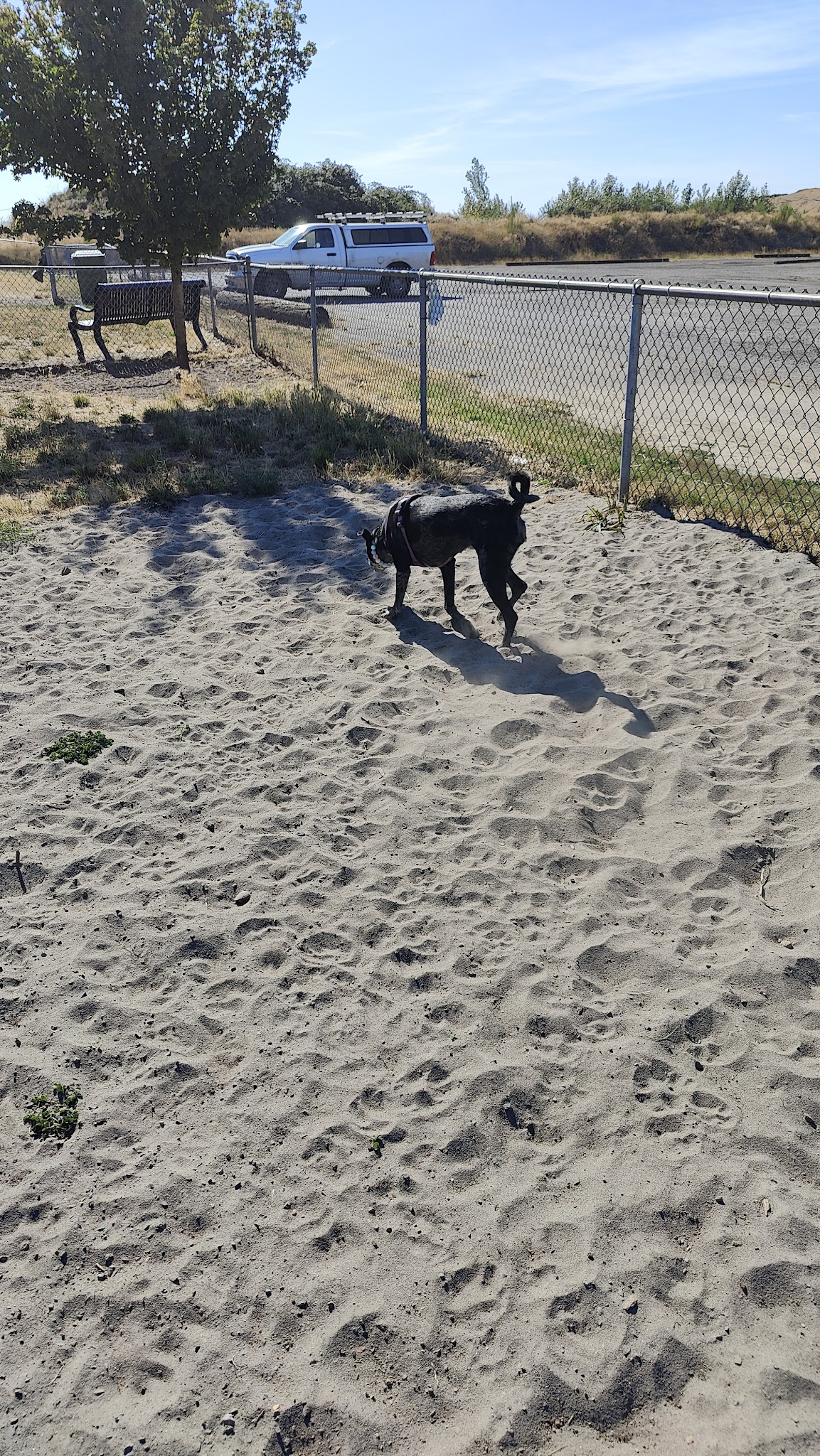 City of Longview Off Leash Dog Park - Longview, WA