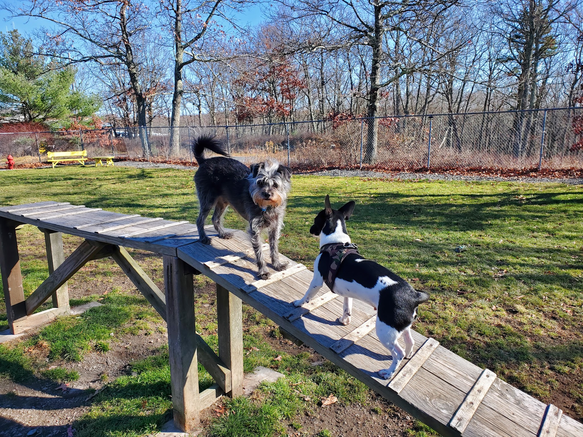 Hemlock Farms Dog Park - Lords Valley, PA