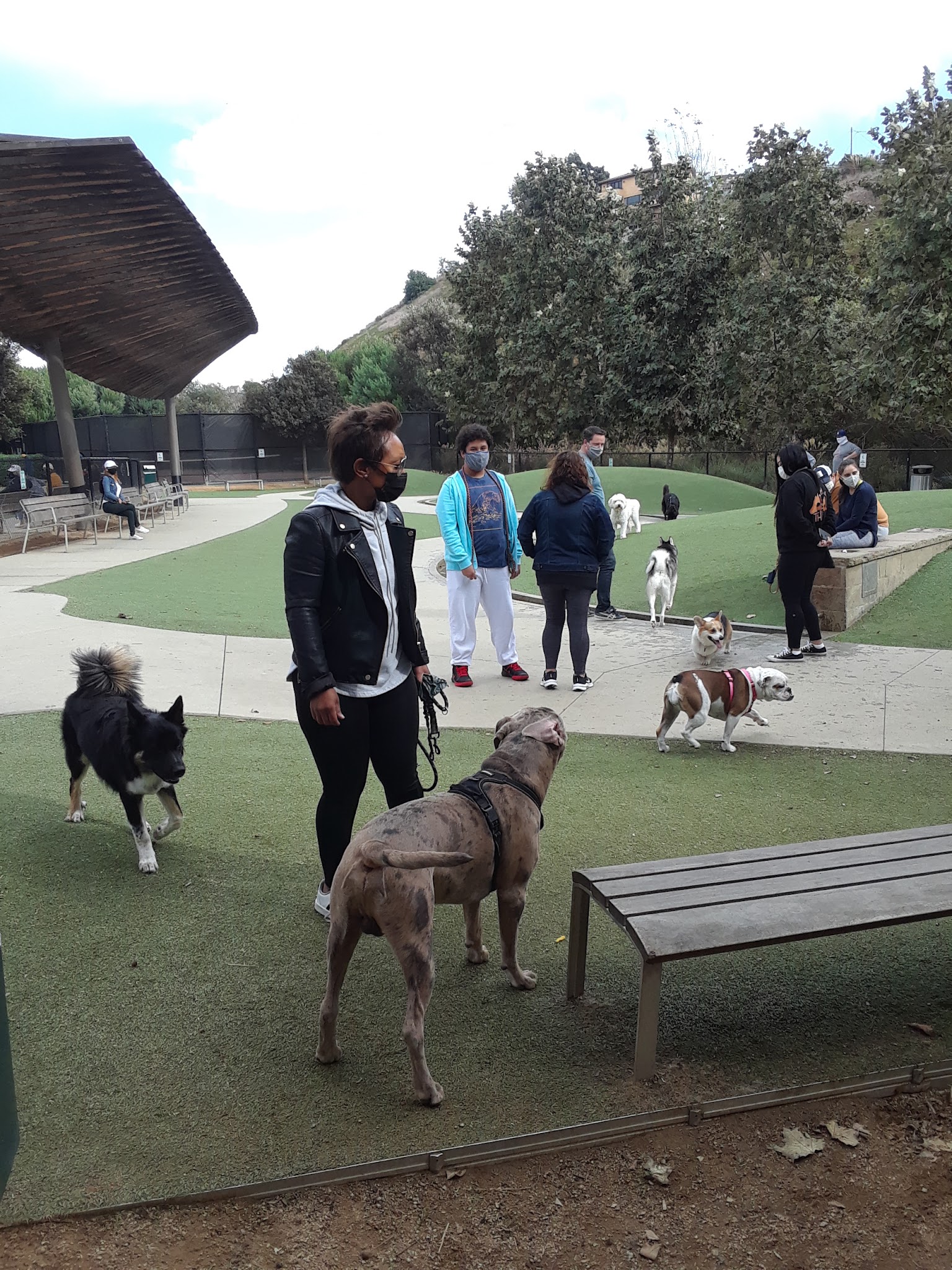 Bluff Creek Dog Park - Los Angeles, CA