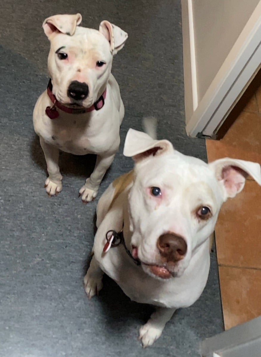 Brandon Fouche - Los Angeles, CA