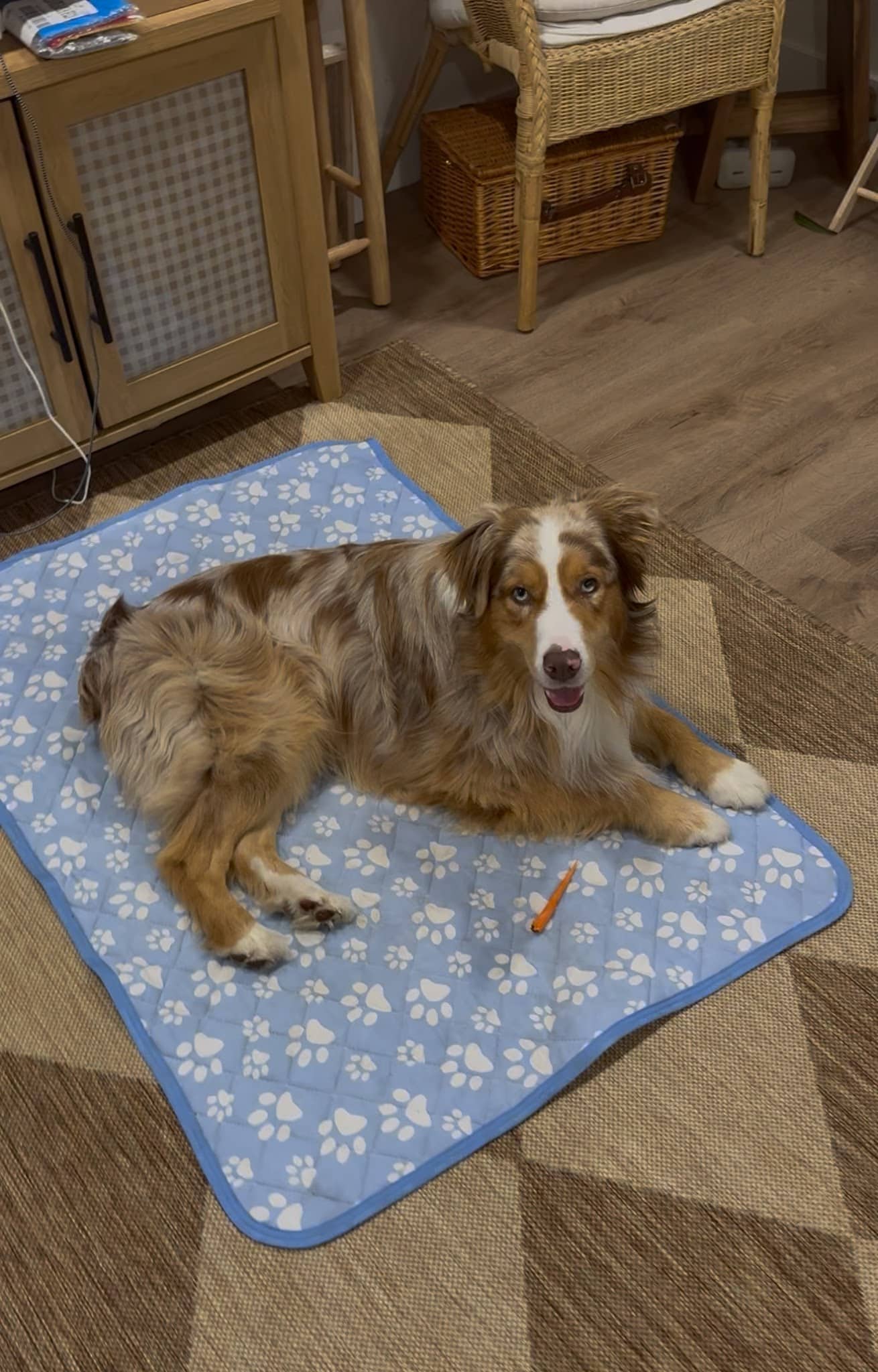 Brandon Fouche - Los Angeles, CA