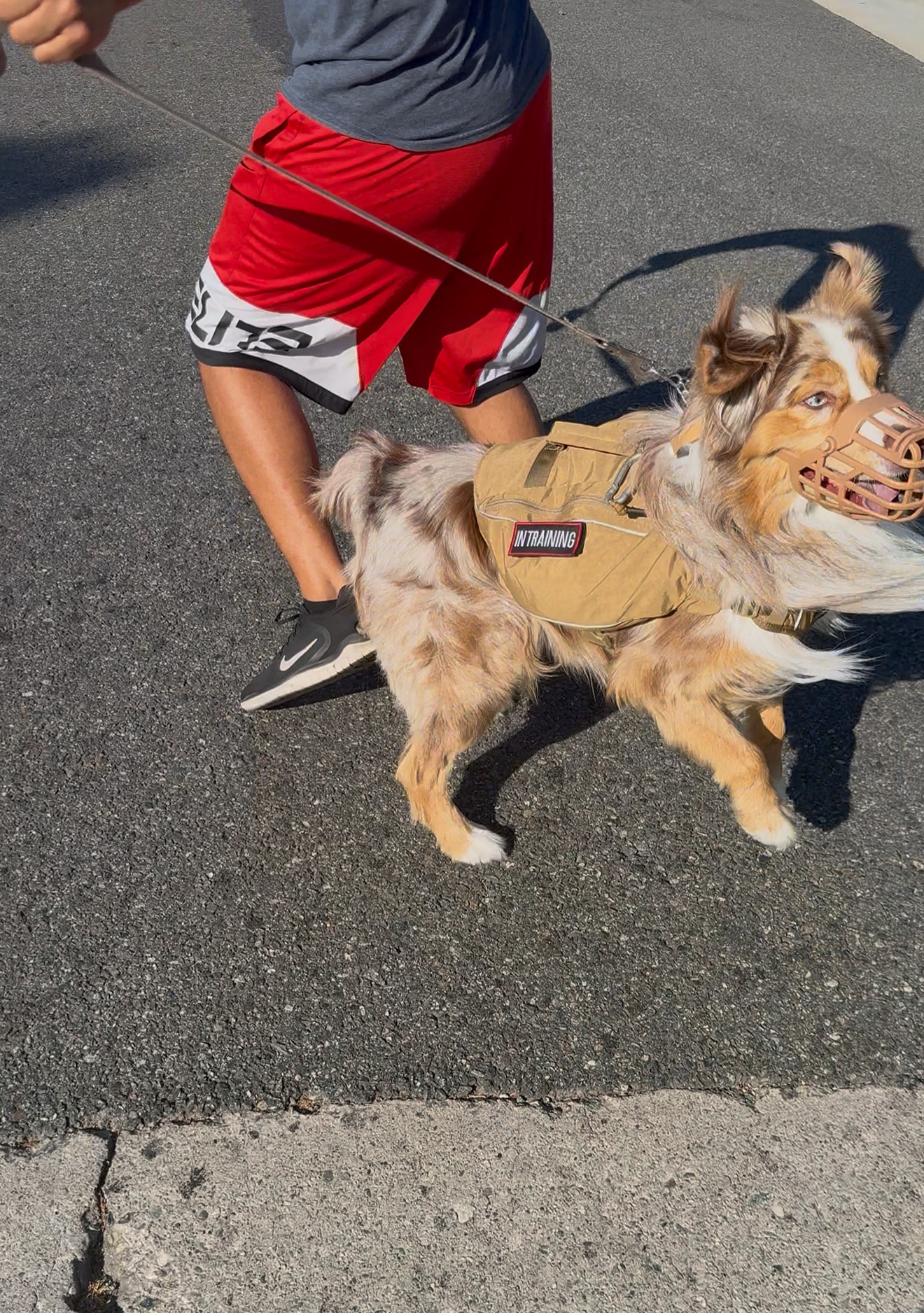 Brandon Fouche - Los Angeles, CA