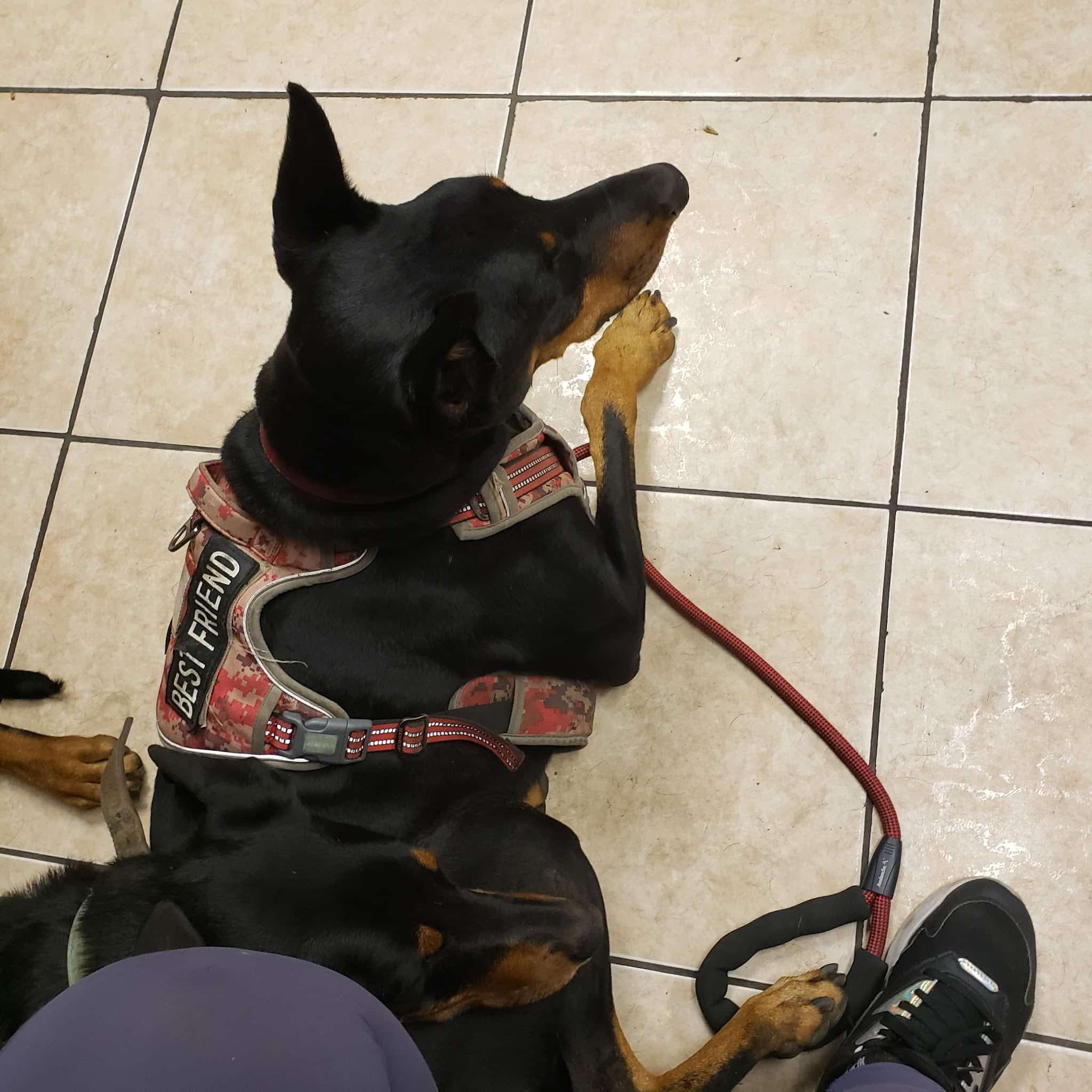 Brandon Fouche - Los Angeles, CA