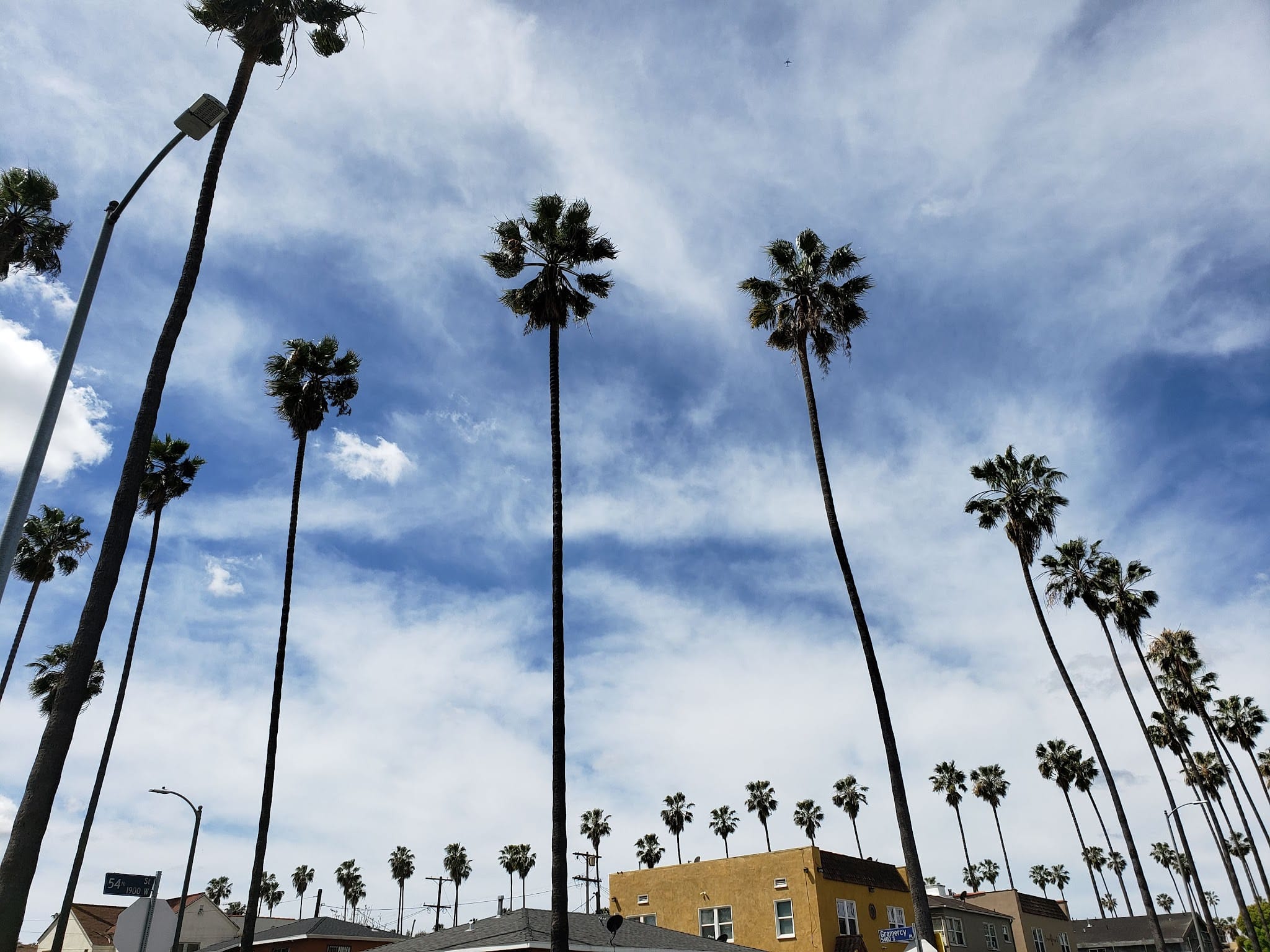 Chesterfield Square Park - Los Angeles, CA