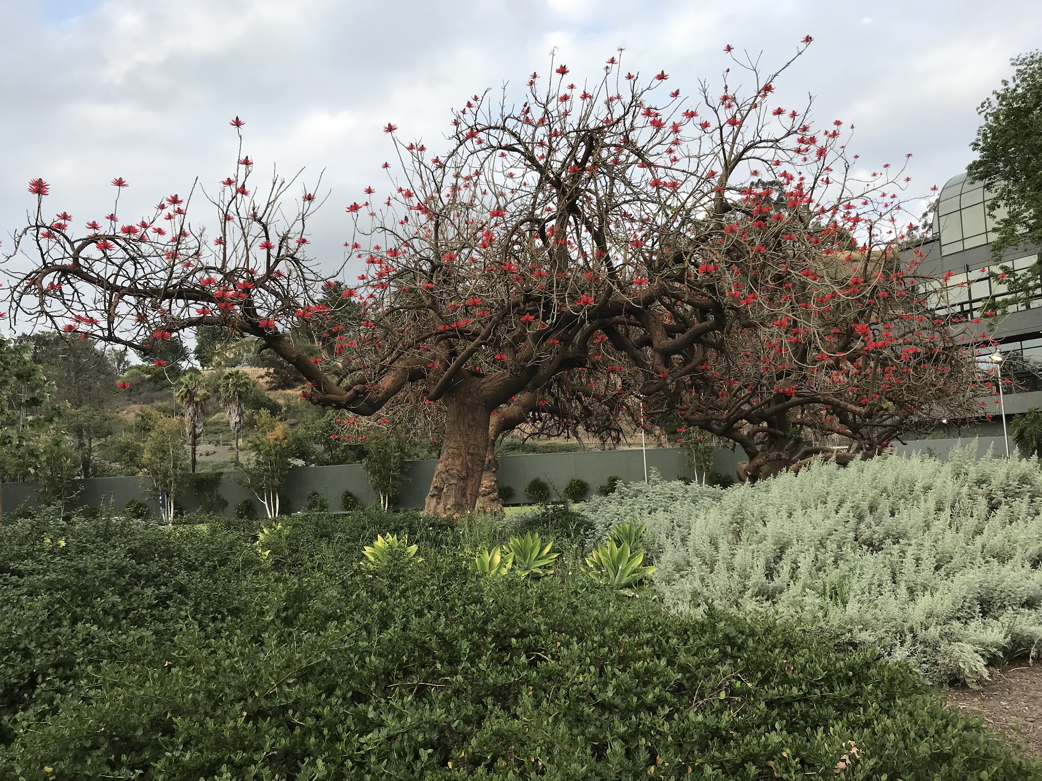 El Paseo De Cahuenga Park - Los Angeles, CA