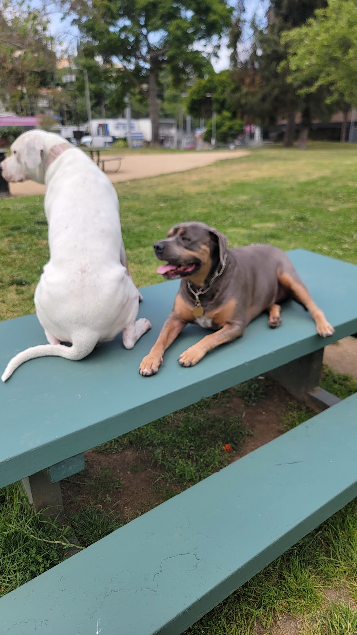 El Paseo De Cahuenga Park - Los Angeles, CA