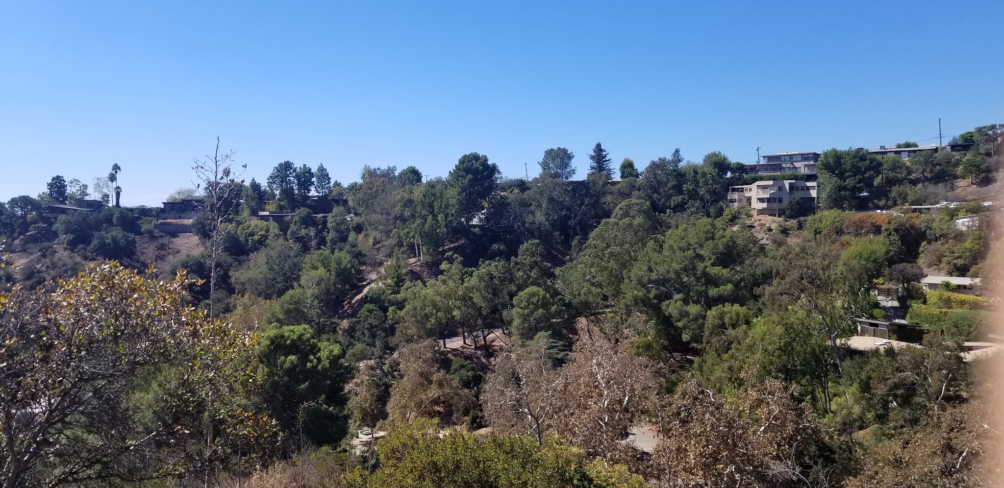 Good dog park - Los Angeles, CA