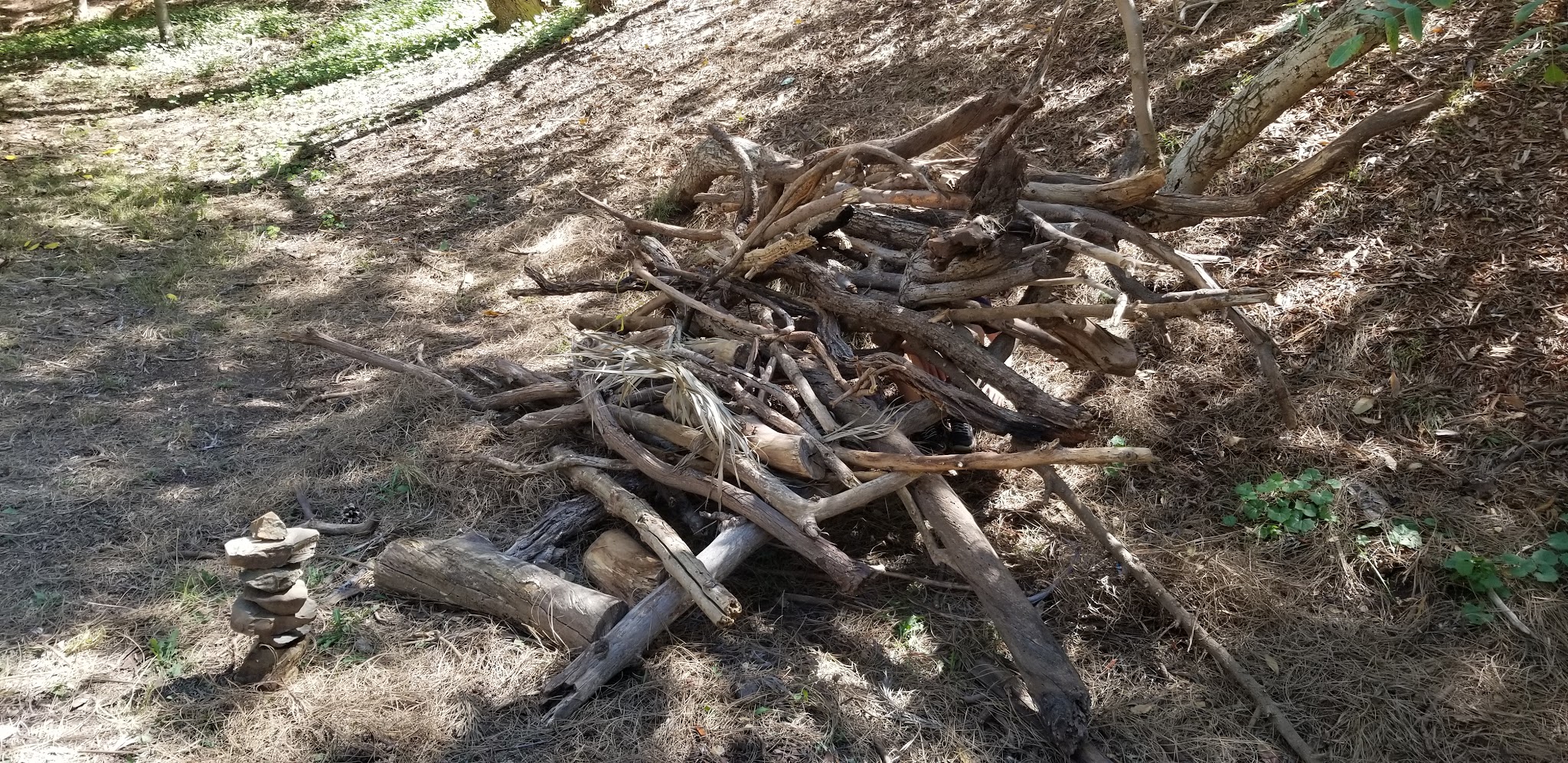 Good dog park - Los Angeles, CA