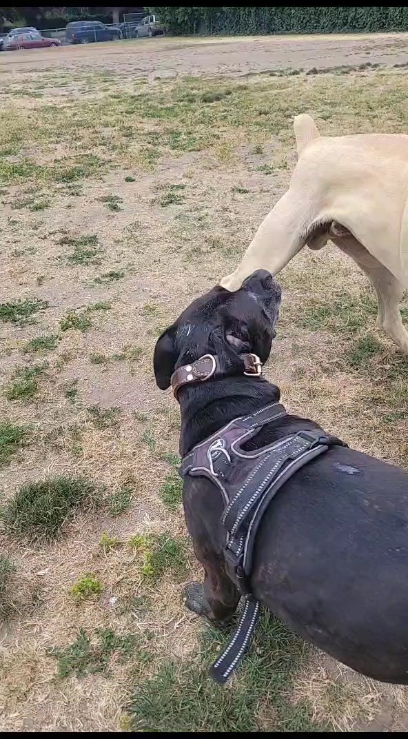 Madison West Park - Los Angeles, CA