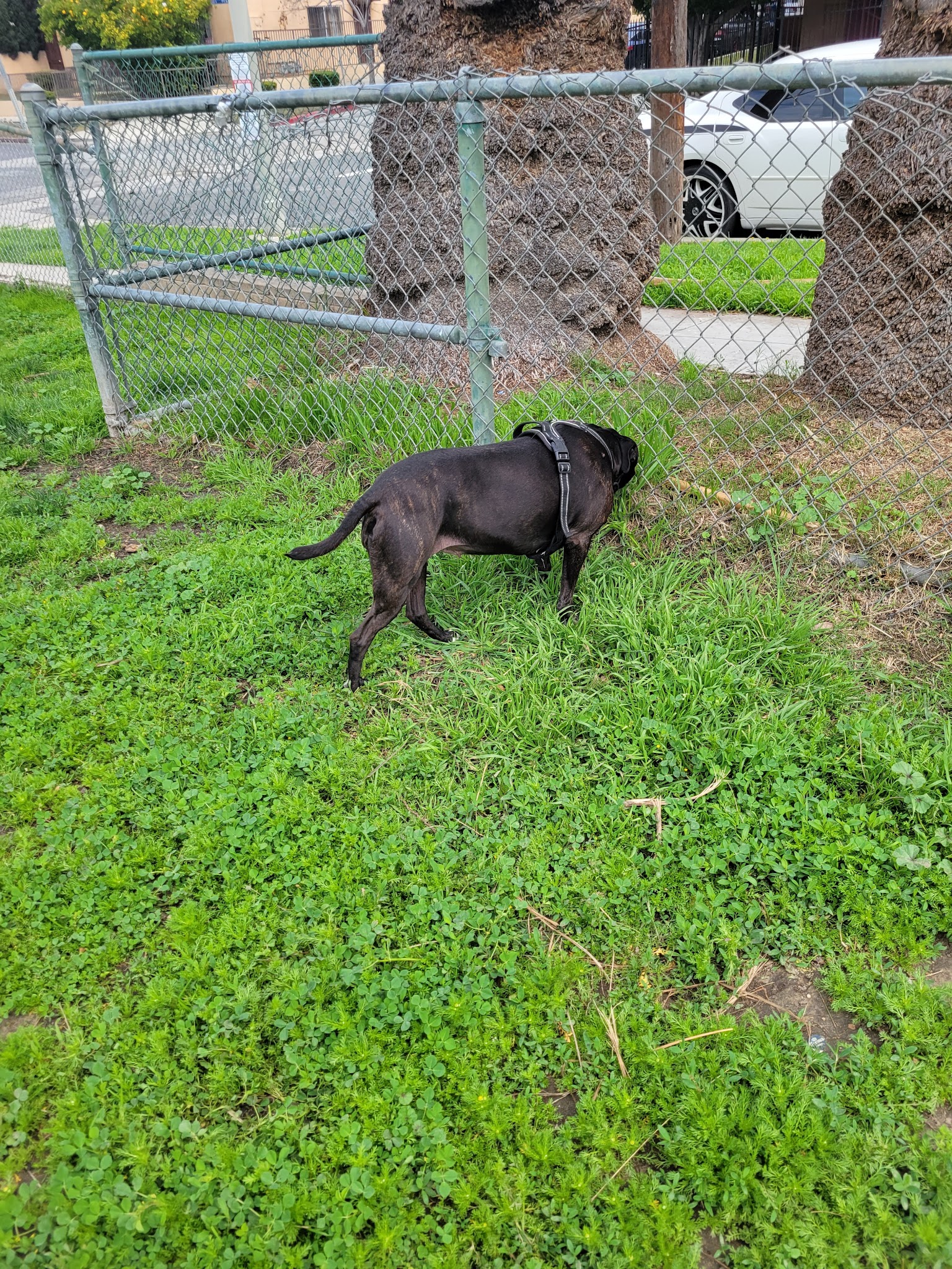Madison West Park - Los Angeles, CA
