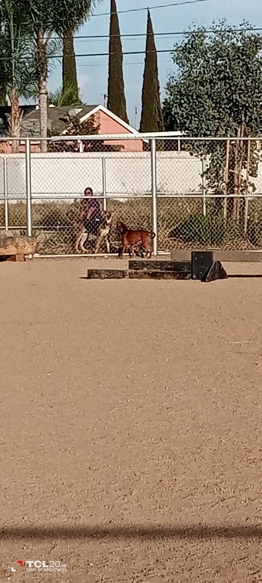 Magic Johnson dog park - Los Angeles, CA