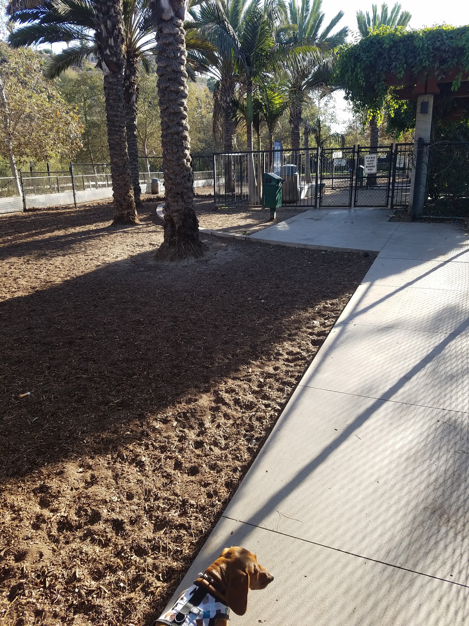 Oberrieder Dog Park - Los Angeles, CA