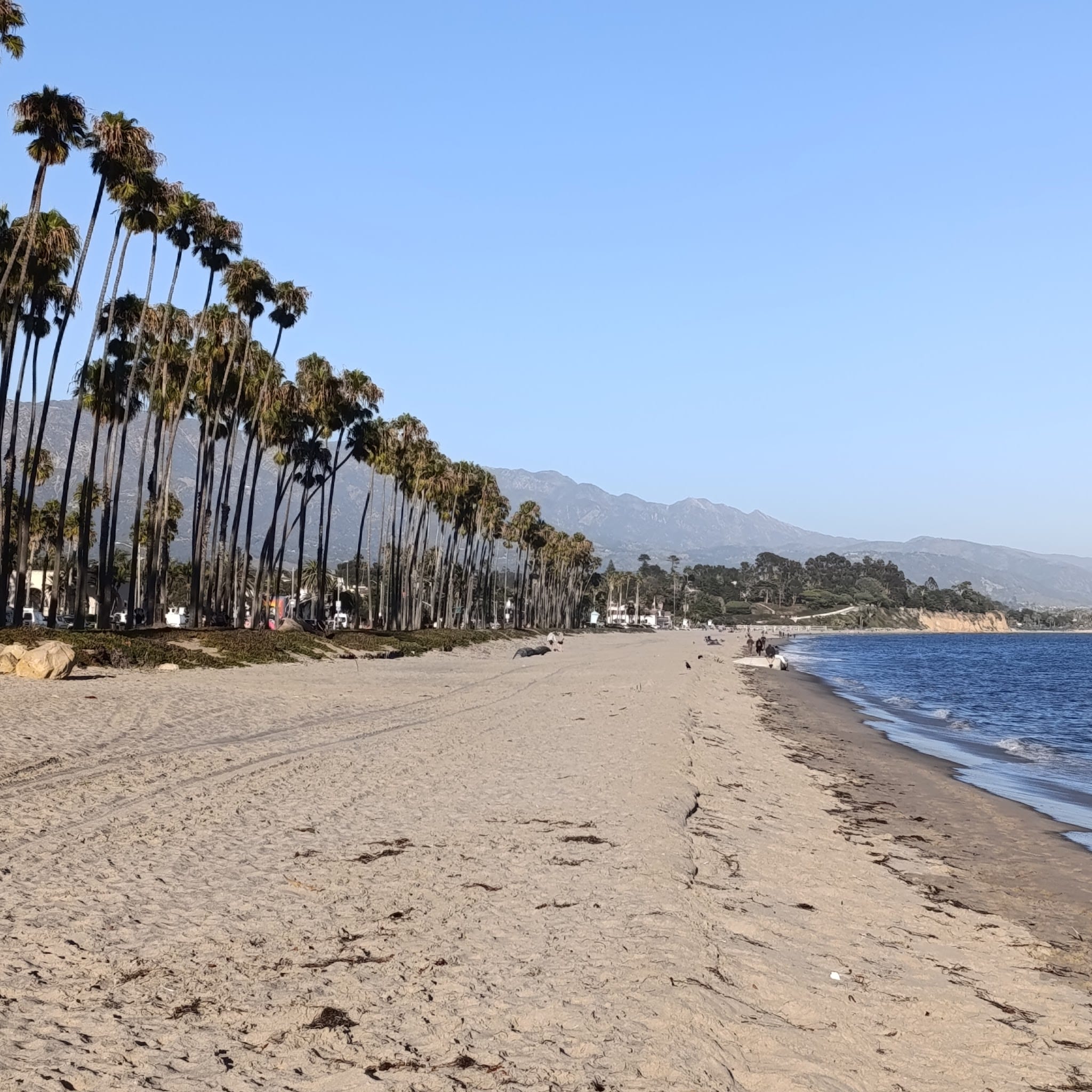 South Lawn - Los Angeles, CA