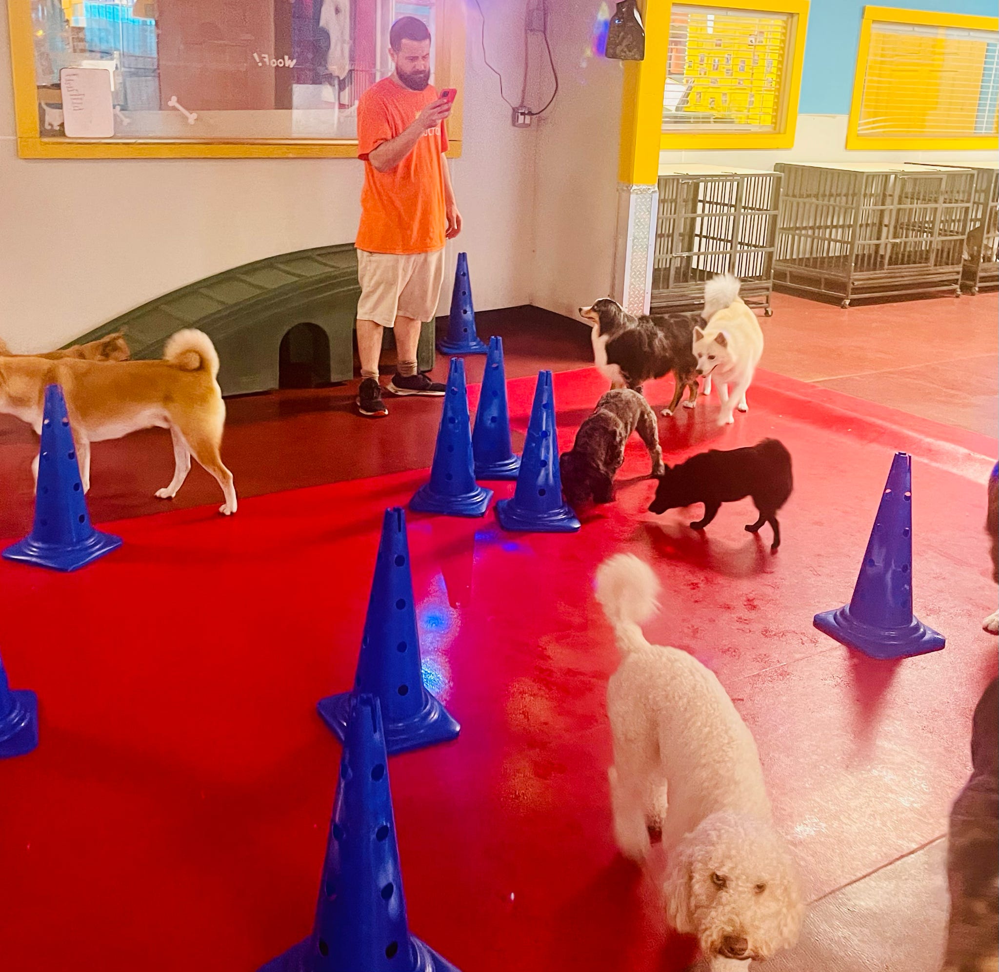 South Park Doggie - Playland (DTLA) - Los Angeles, CA