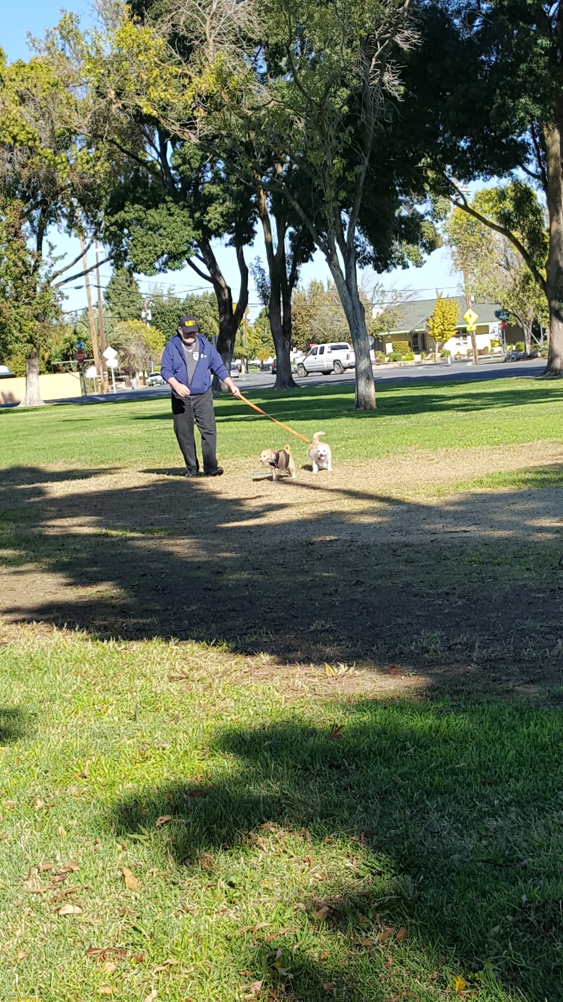Big Page Park - Los Banos, CA