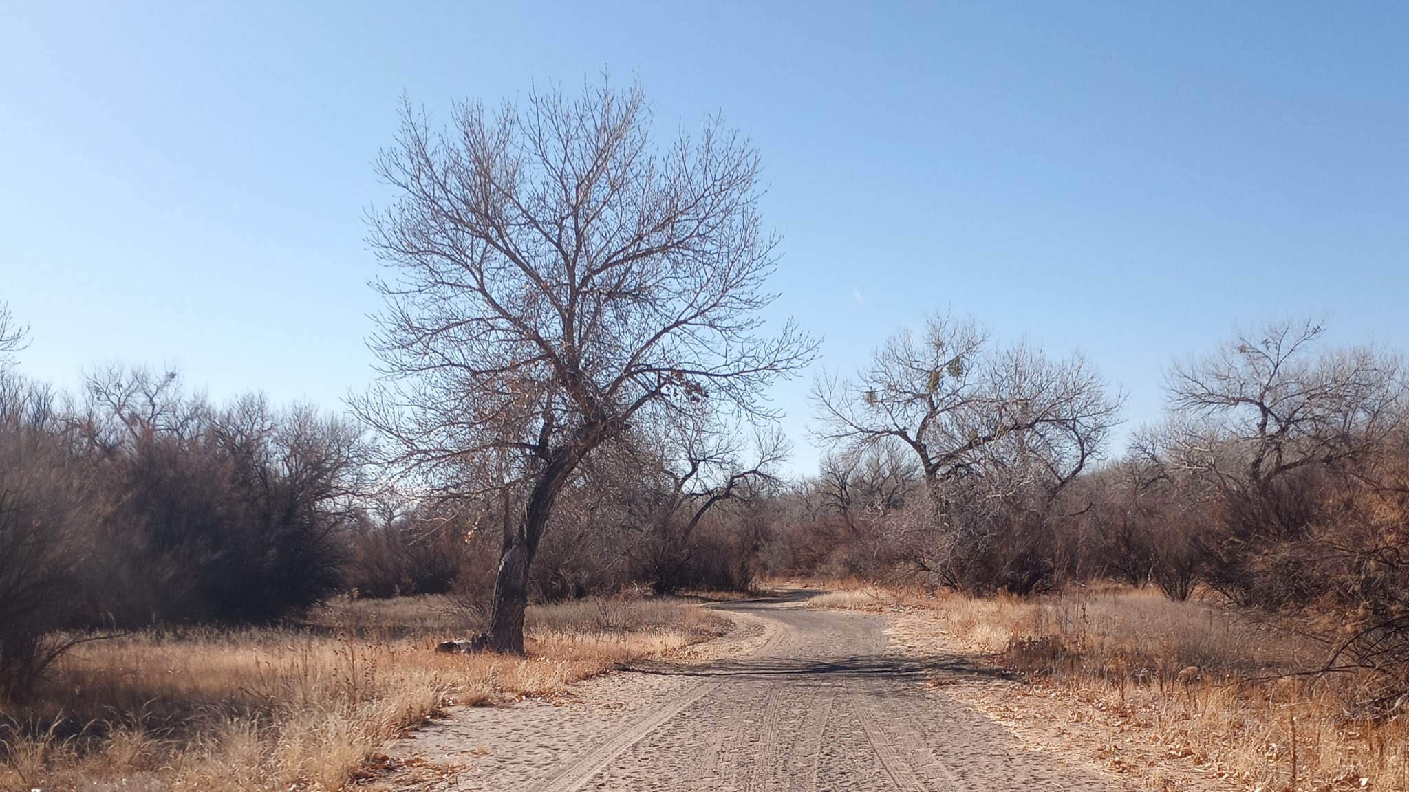 Riverside Park - Los Lunas, NM