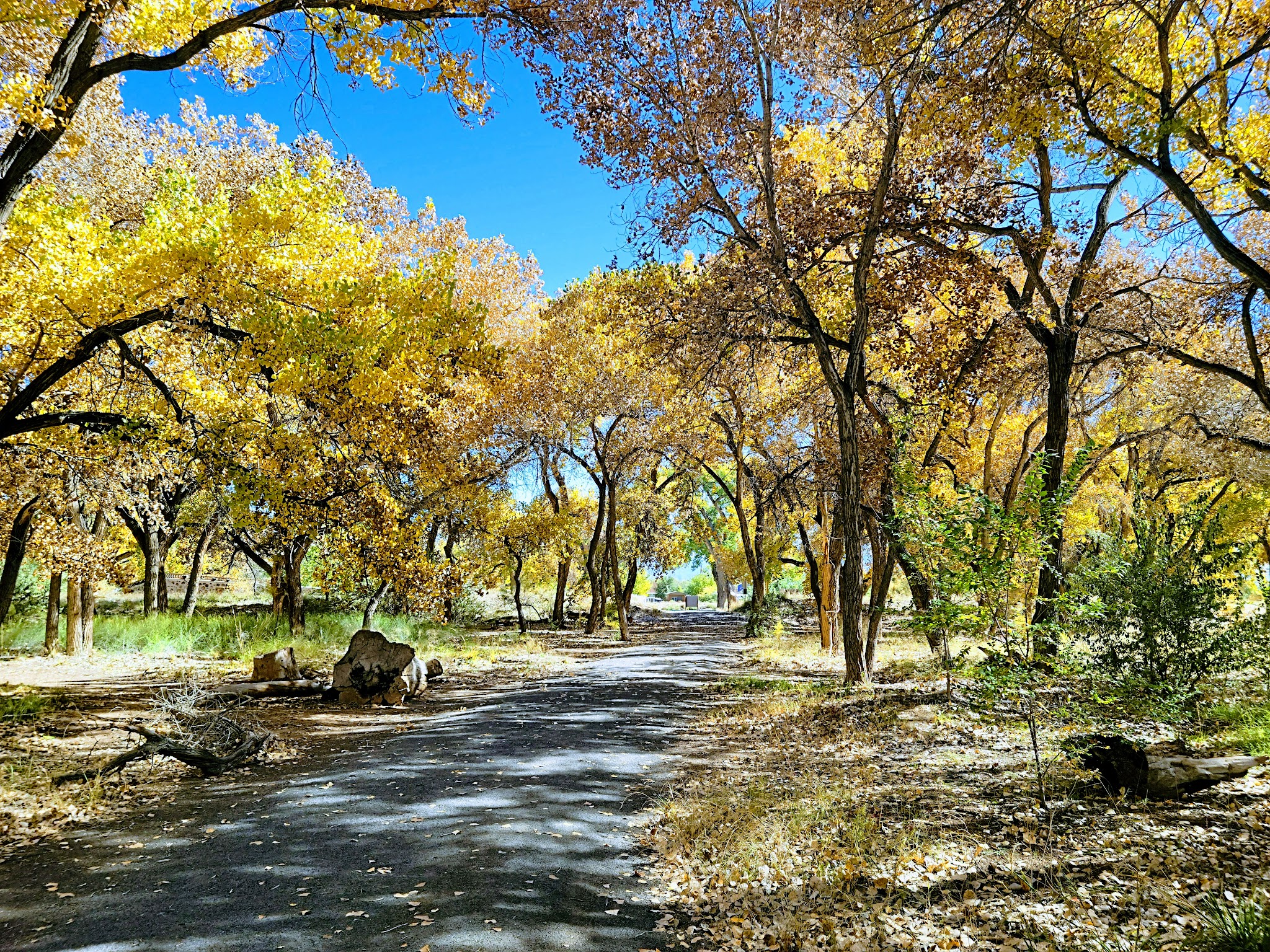 Riverside Park - Los Lunas, NM