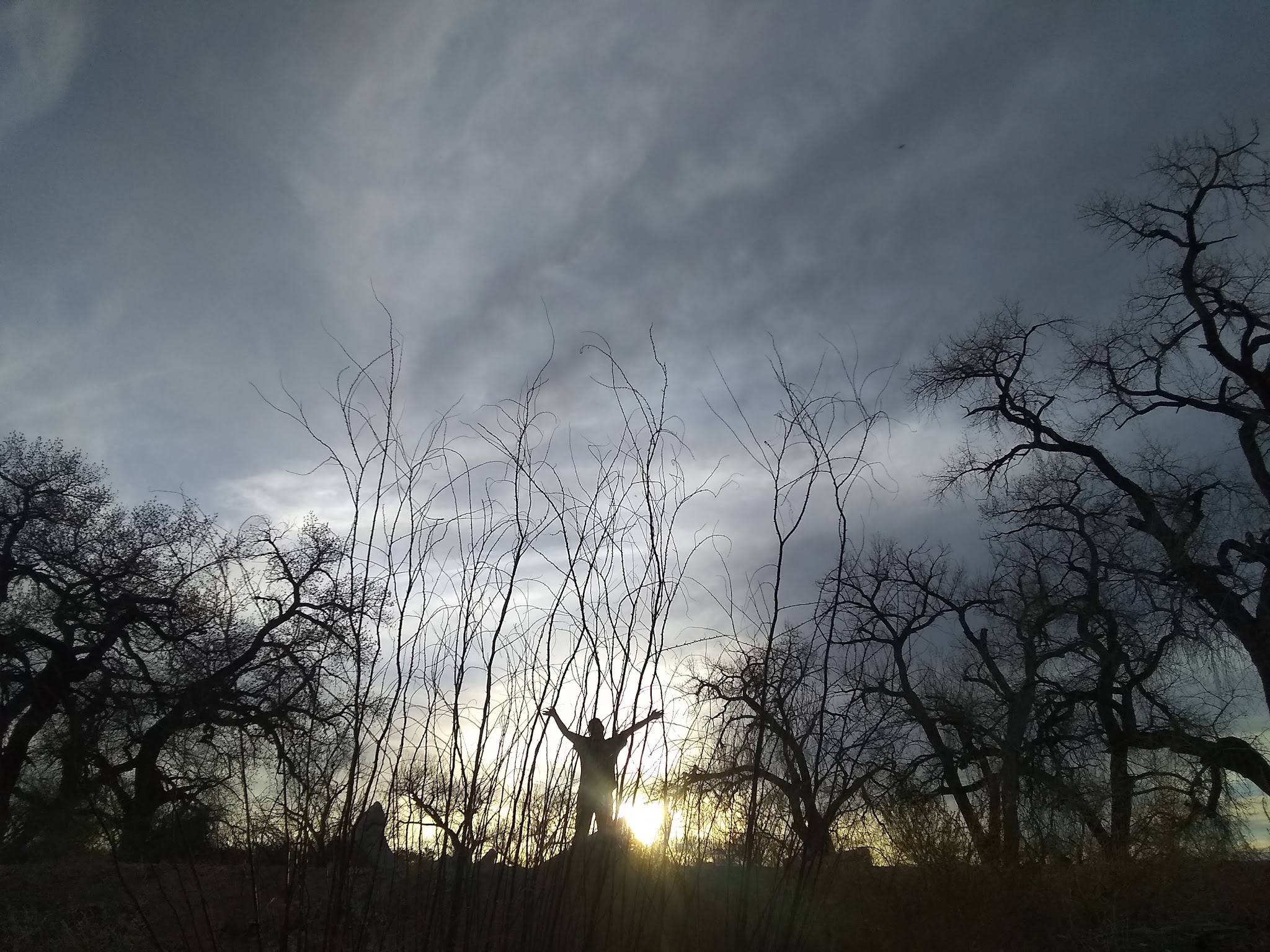 Riverside Park - Los Lunas, NM