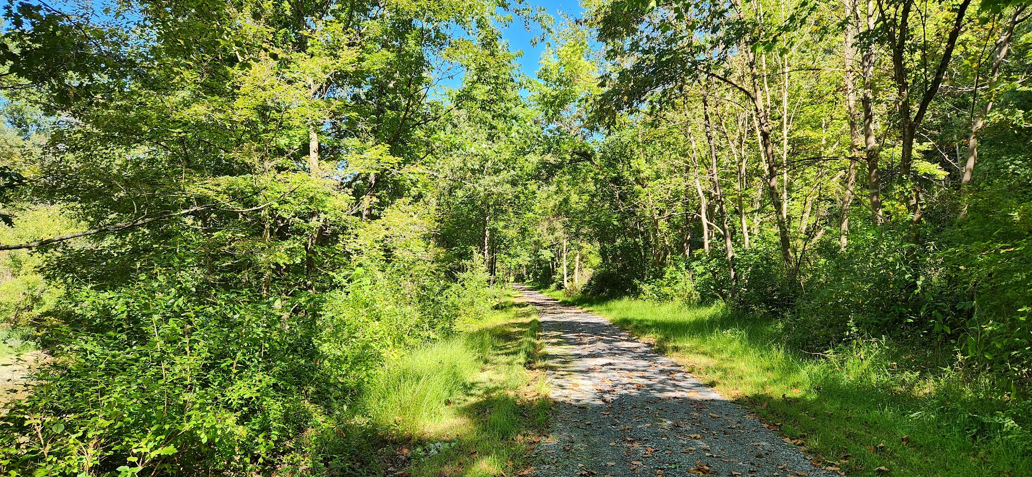 Southern Harrison Trail Parking - Lost Creek, WV