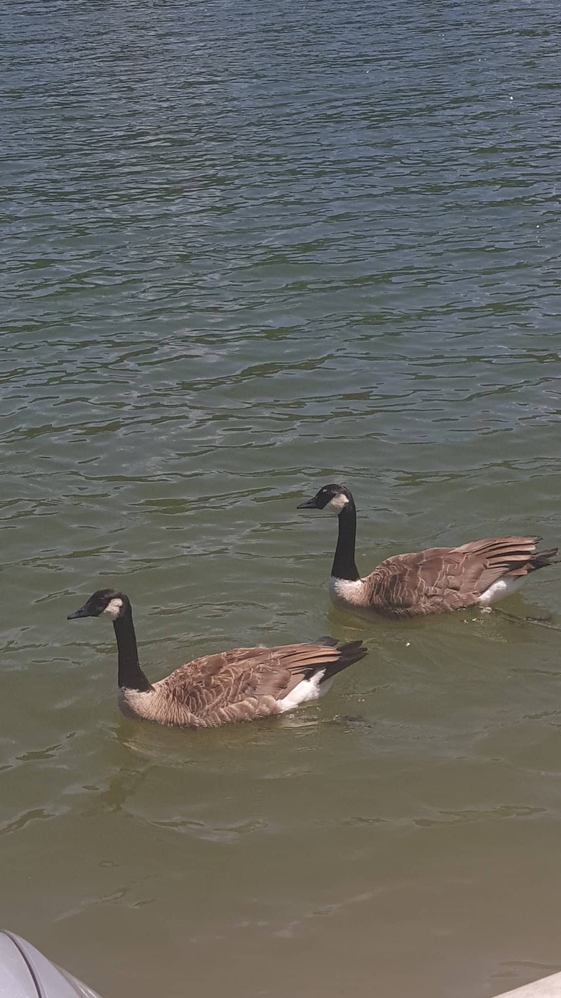 The Cove - Louisa, KY