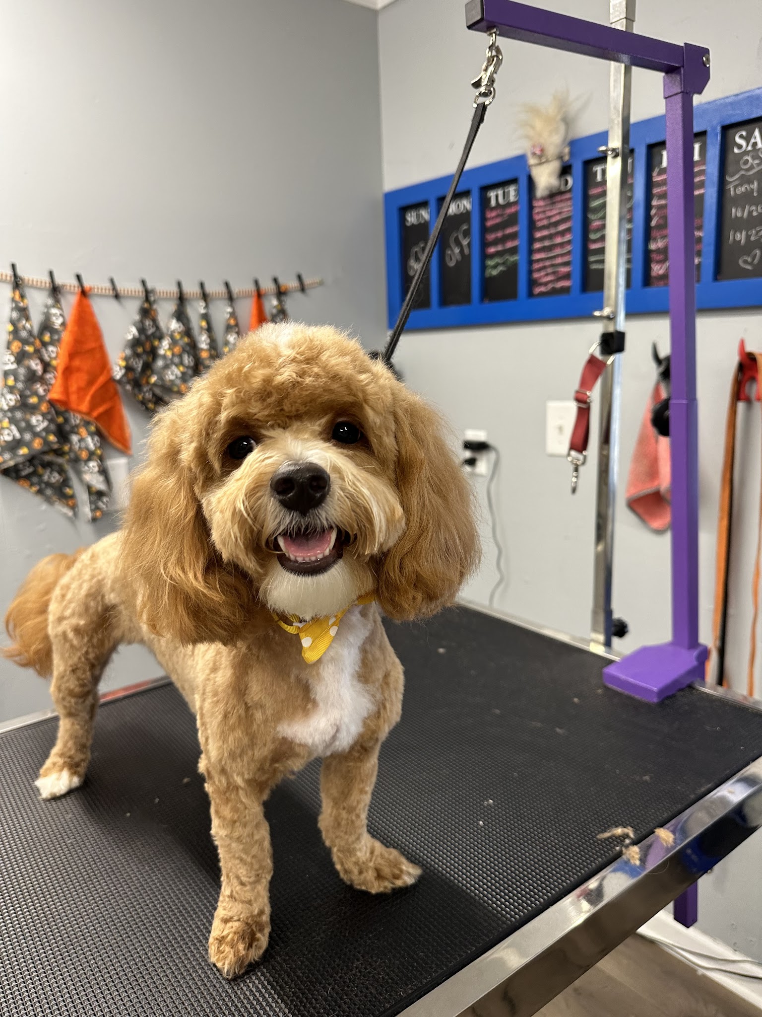 The Hound Lounge LLC - Louisburg, KS