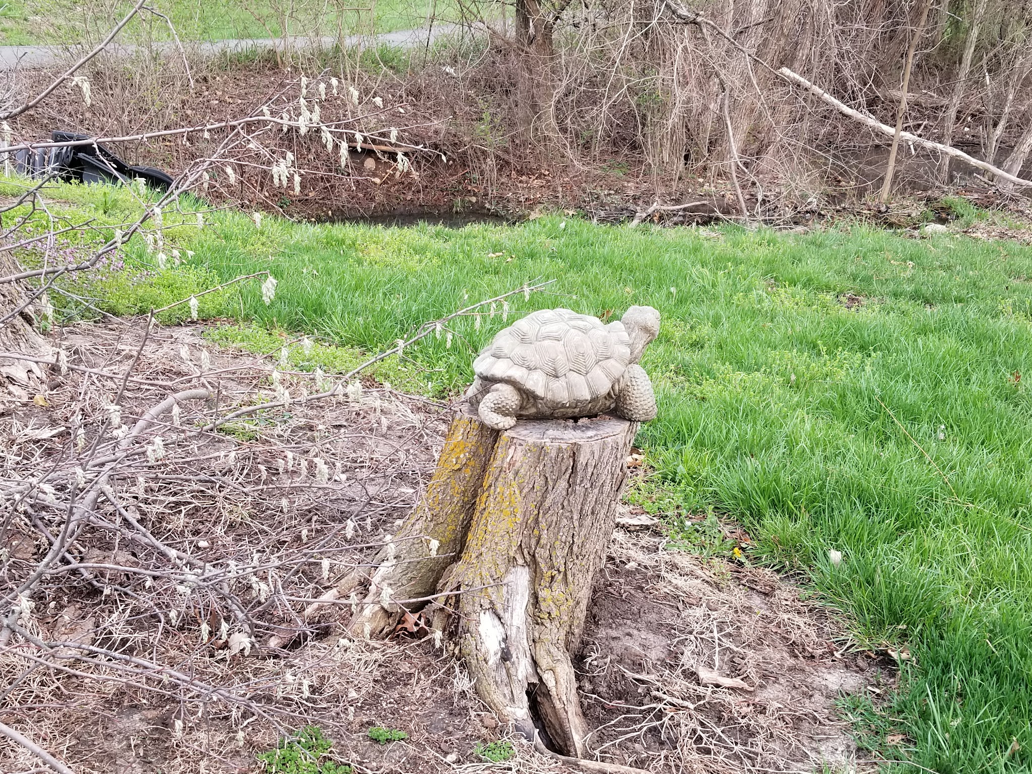 Louisburg City Lake & Ron Weers Park - Louisburg, KS