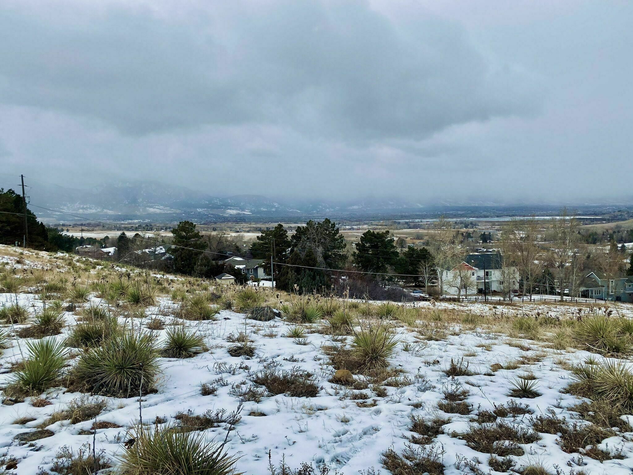 Davidson Mesa Open Space Dog Off-leash area - Louisville, CO