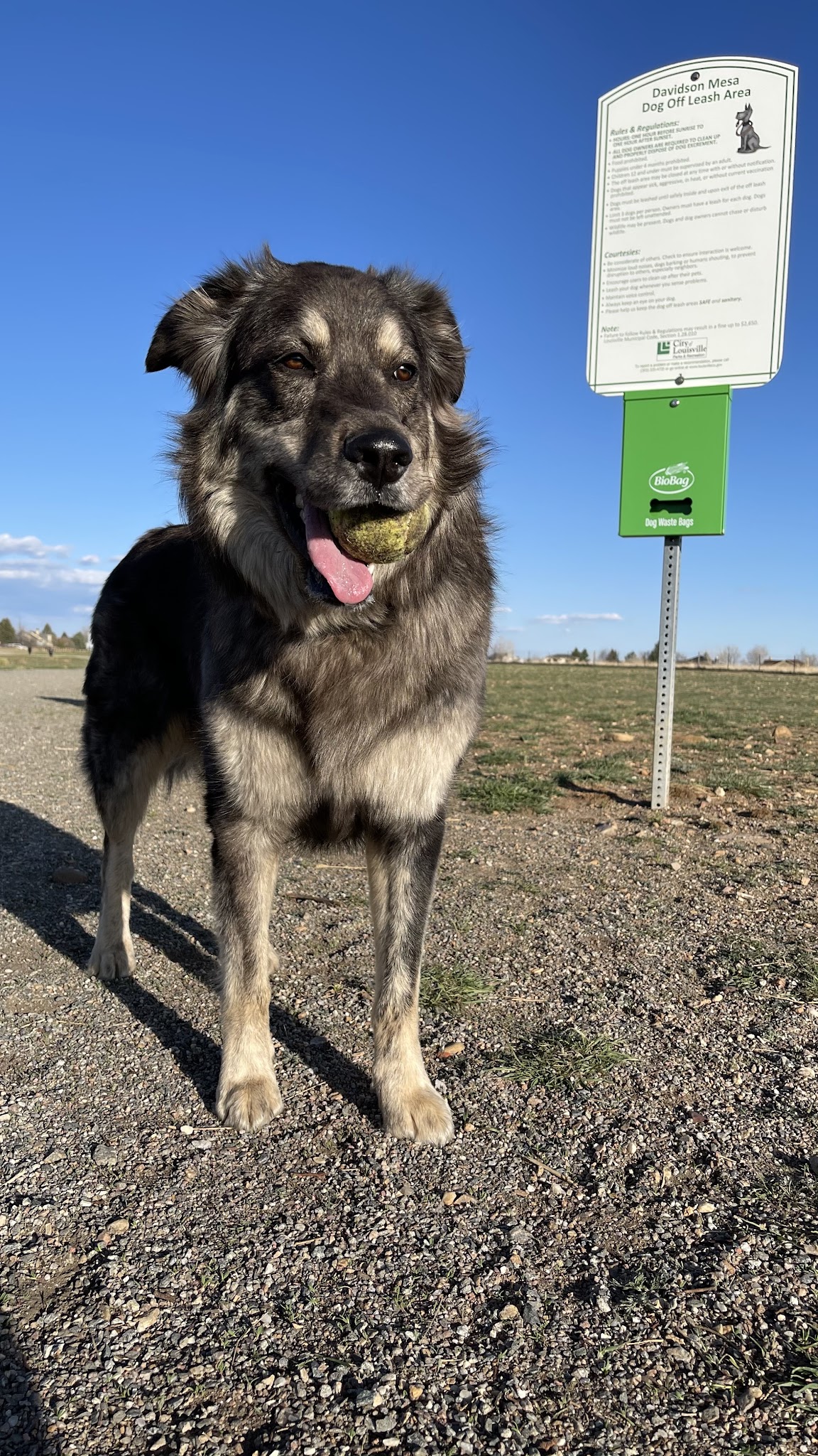 Davidson Mesa Open Space Dog Off-leash area - Louisville, CO