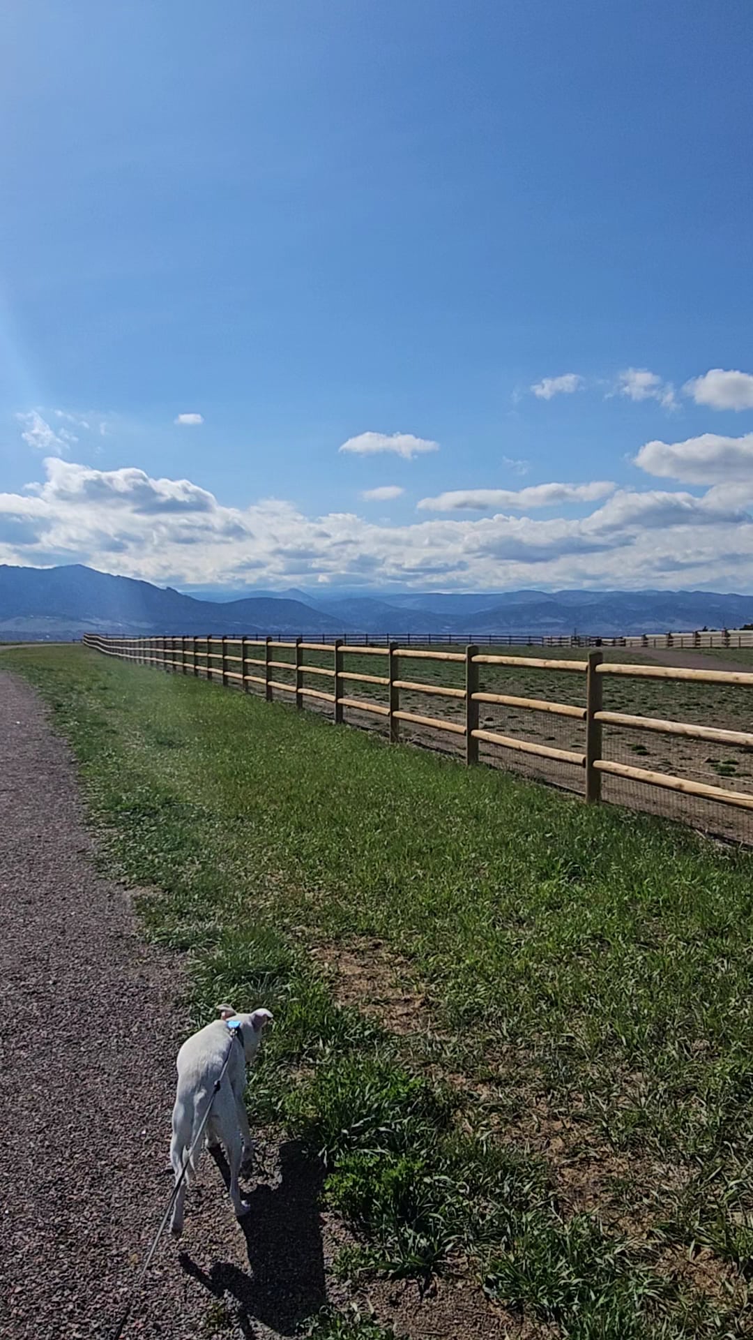 Davidson Mesa Open Space Dog Off-leash area - Louisville, CO