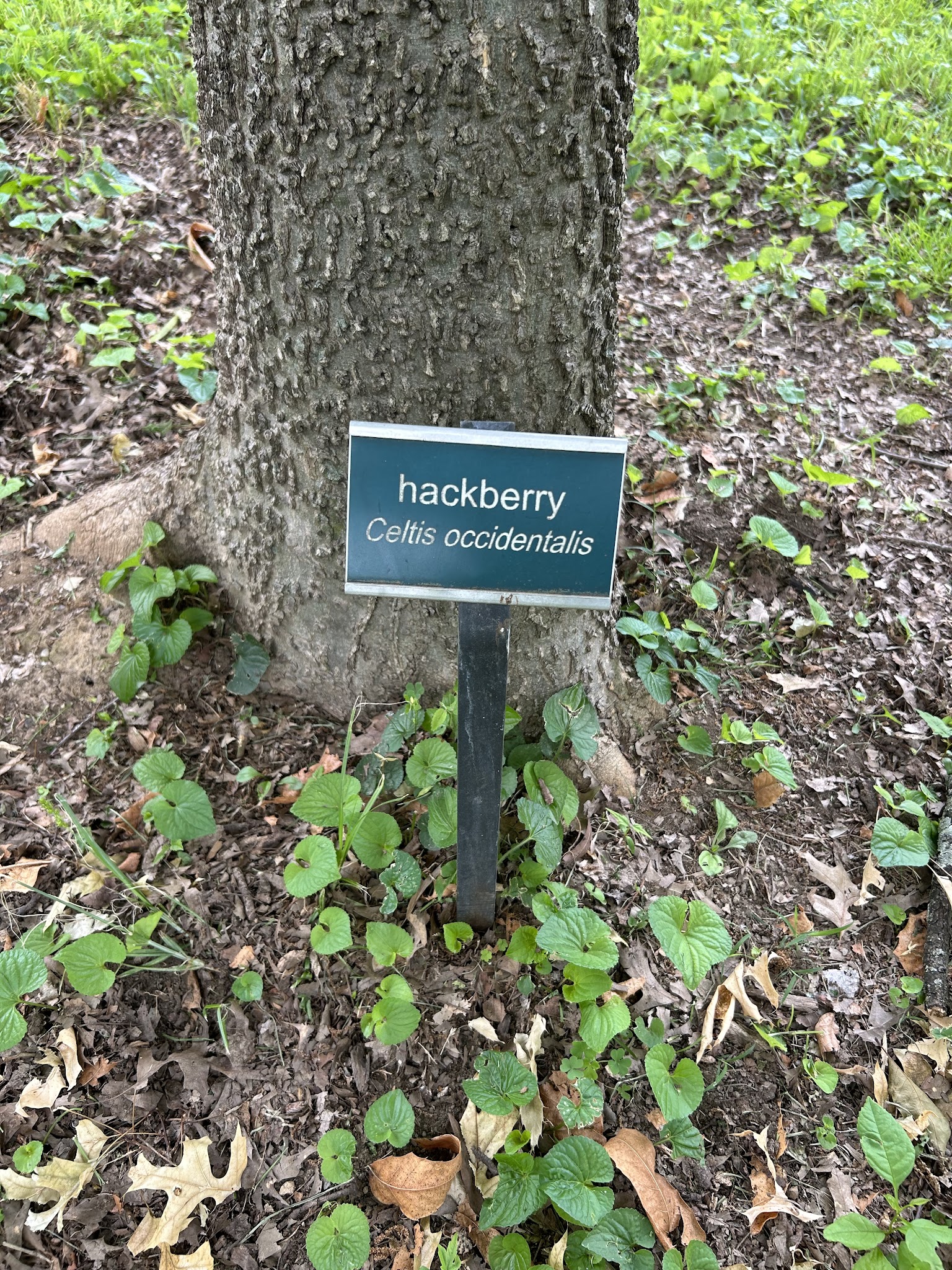 Crossbill Park - Louisville, KY