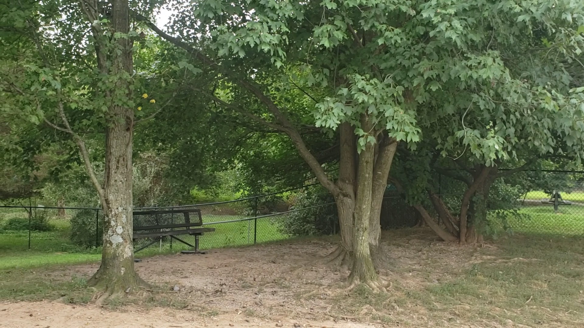 E.P. Tom Sawyer Park Community Garden - Louisville, KY