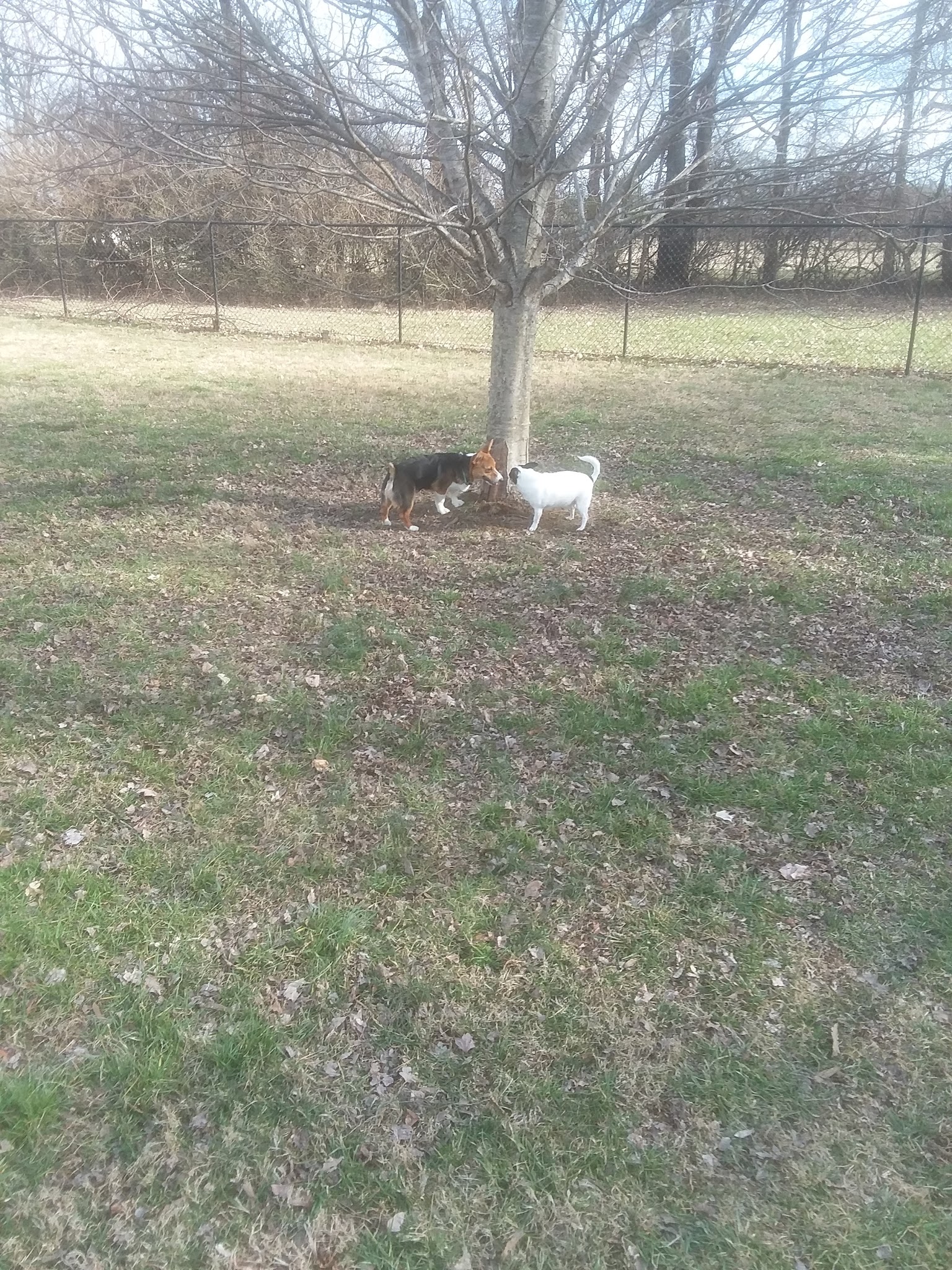 E.P. Tom Sawyer Park Community Garden - Louisville, KY