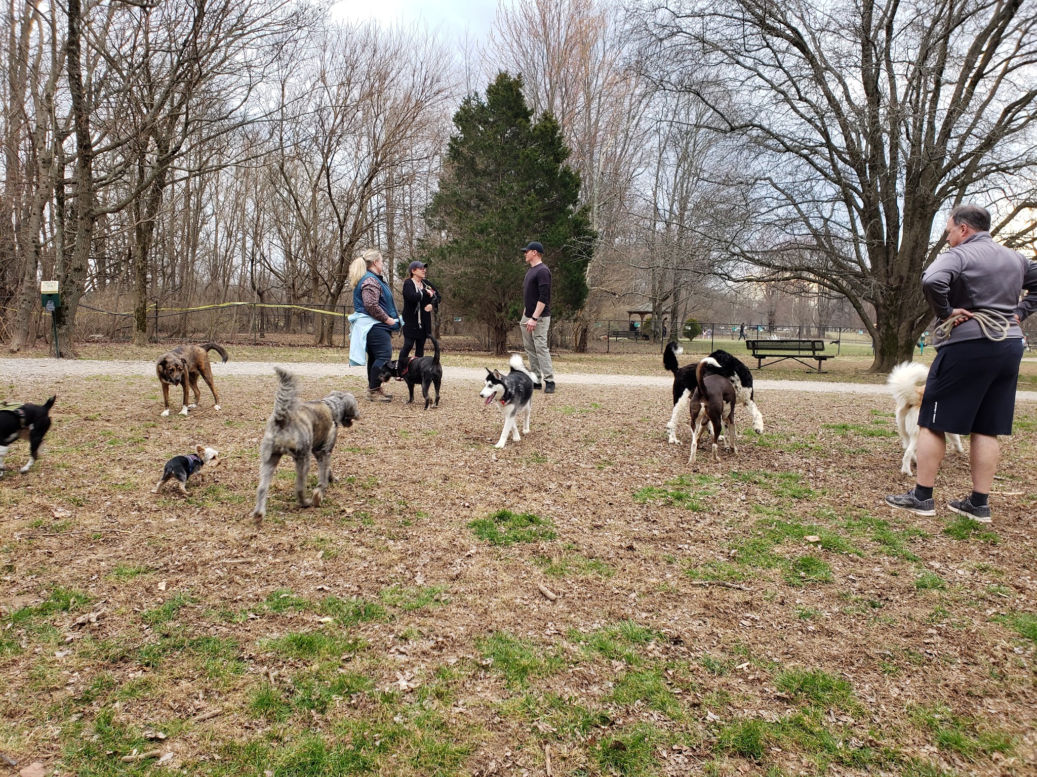 E.P. Tom Sawyer Park Community Garden - Louisville, KY