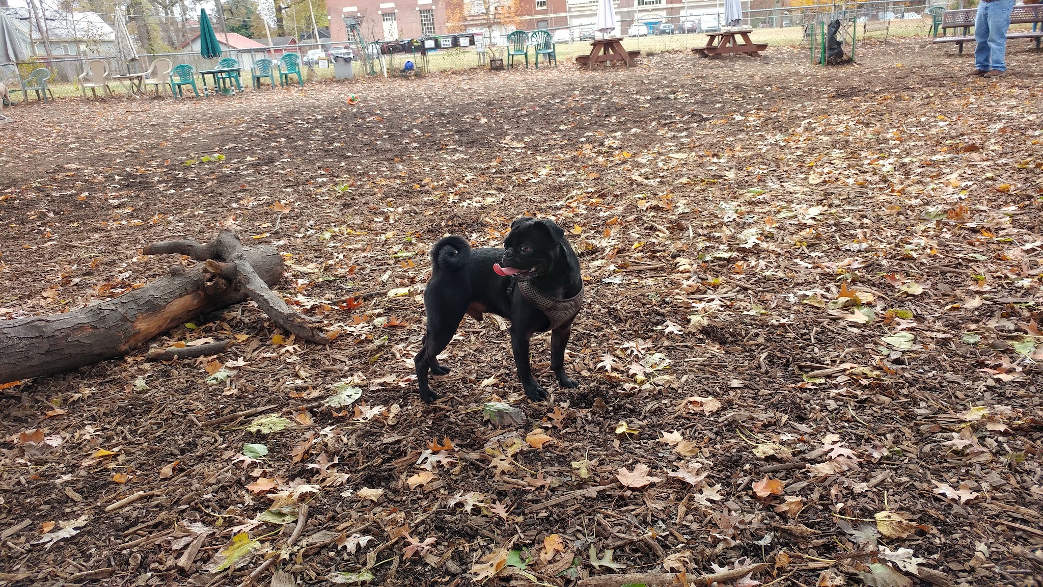 Patterson Playground - Louisville, KY