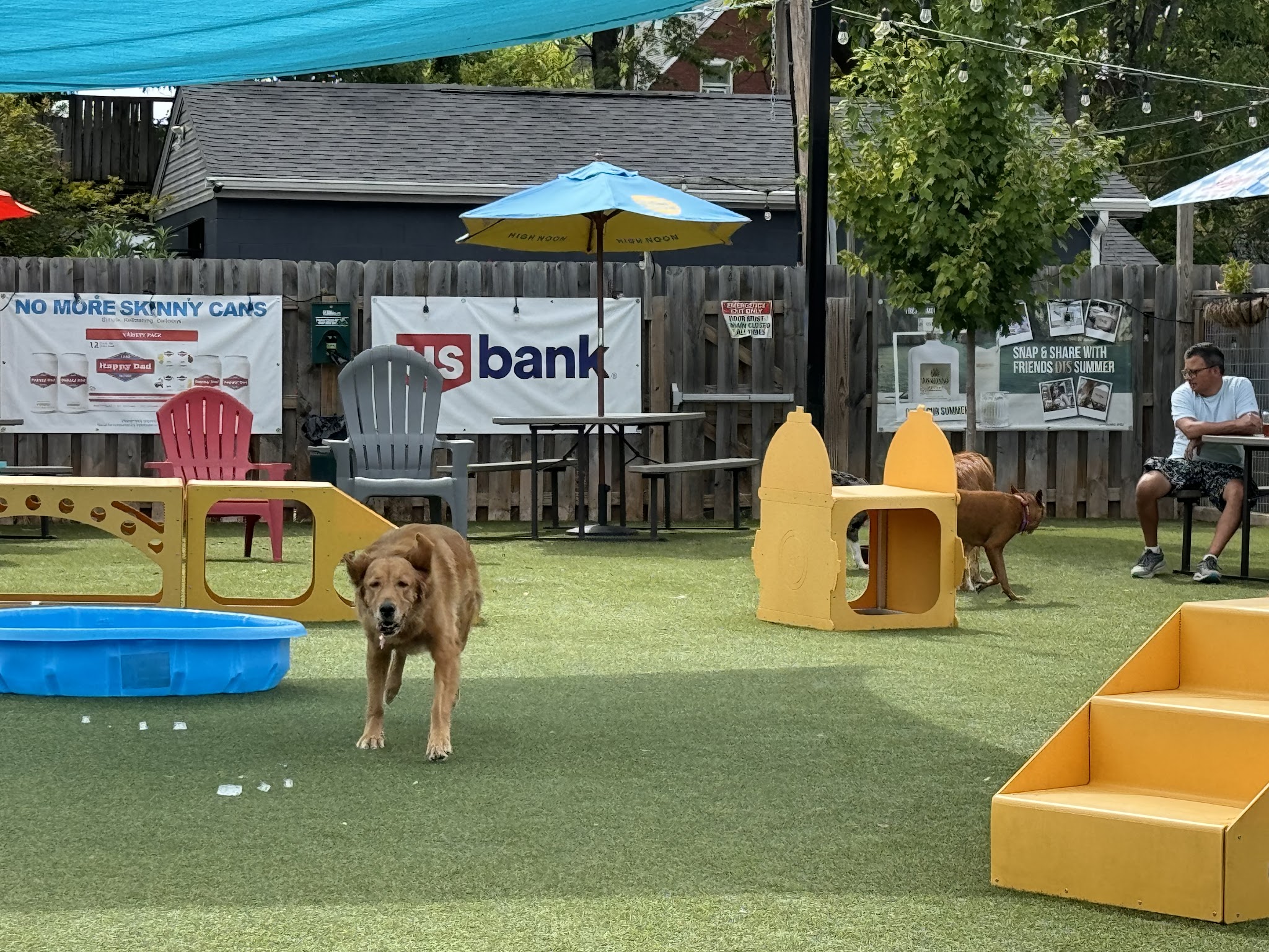 PG&J's Dog Park Bar - Louisville, KY