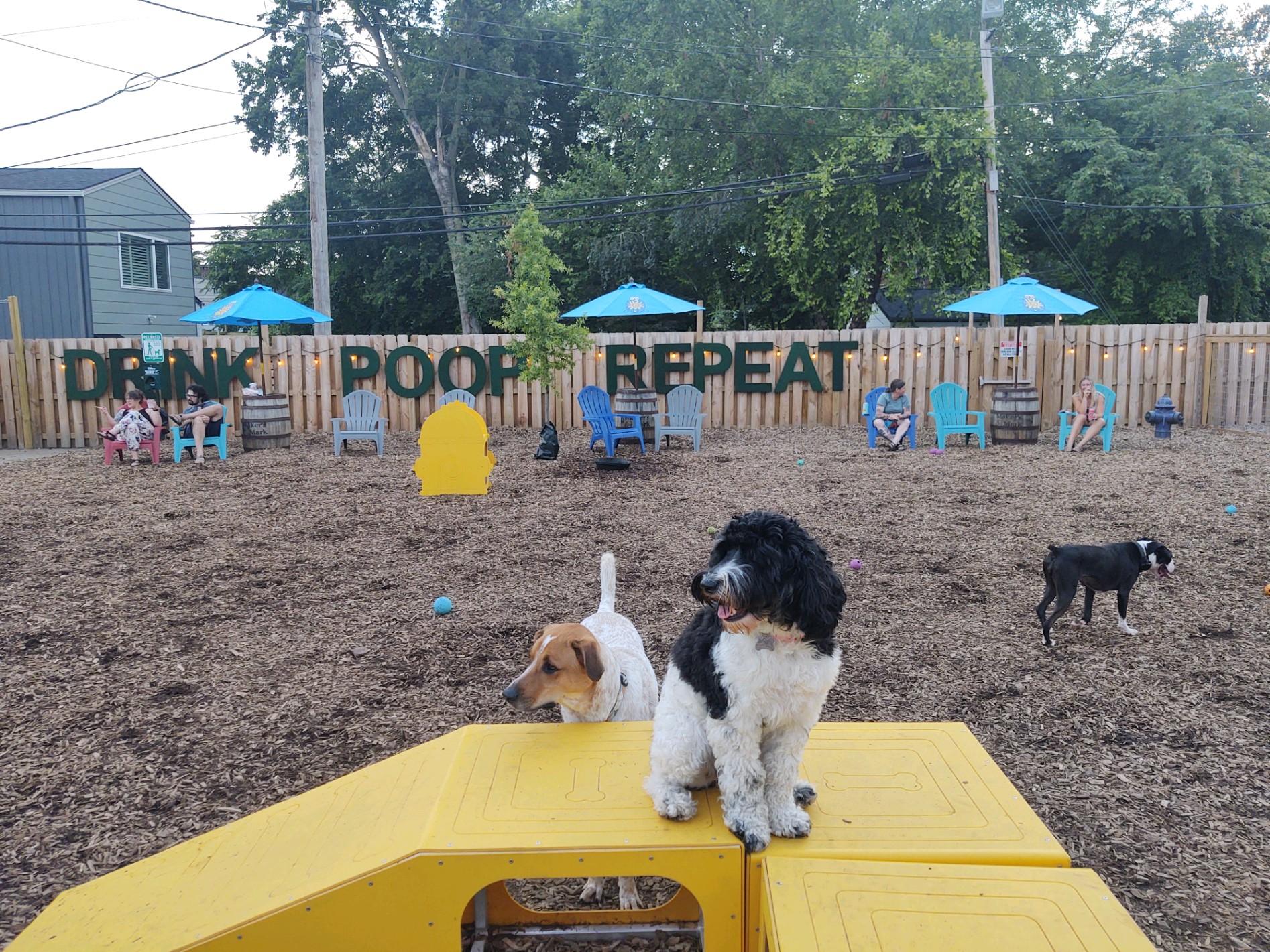 PG&J's Dog Park Bar - Louisville, KY