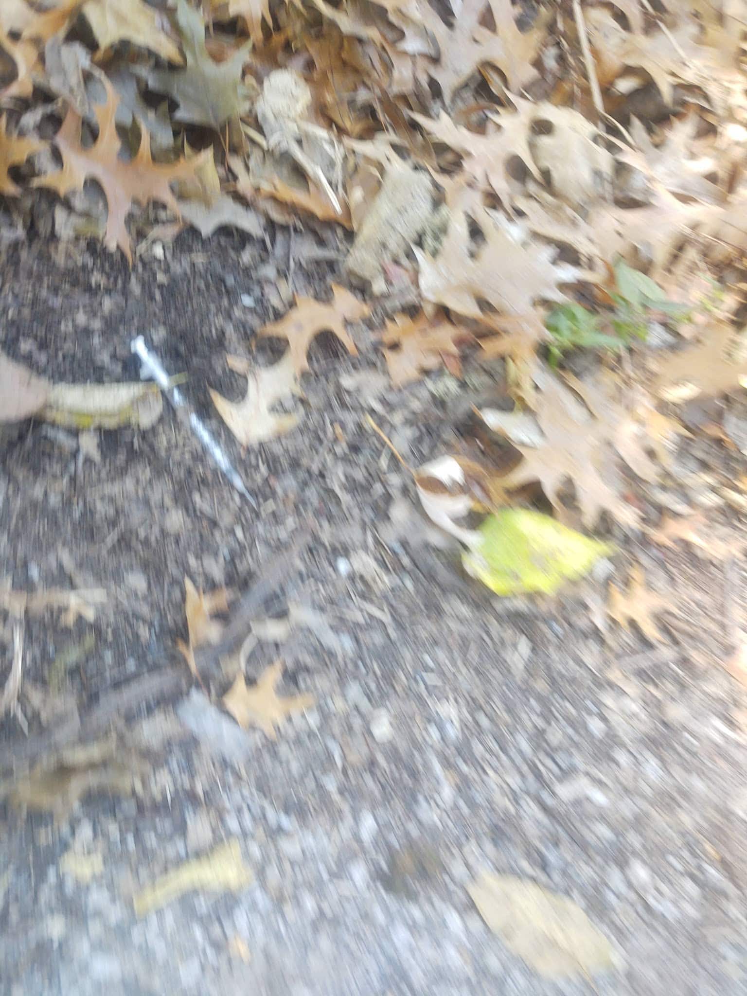 Preston Park - Louisville, KY