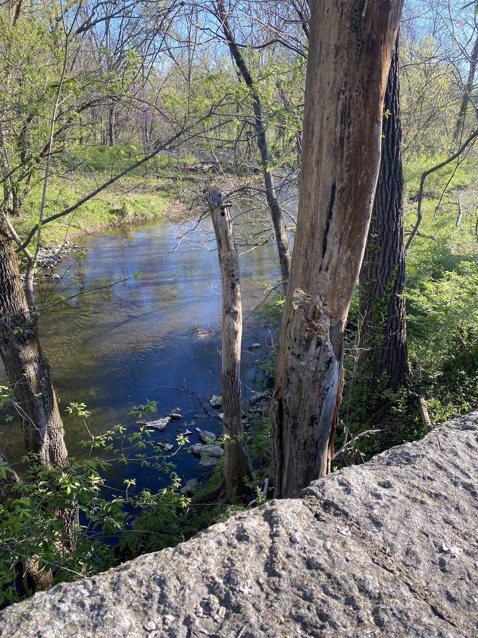 Seneca Park Loop - Louisville, KY