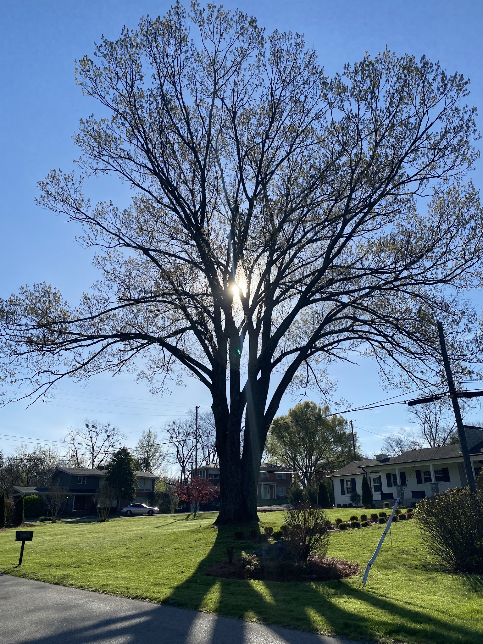 Seneca Park Loop - Louisville, KY