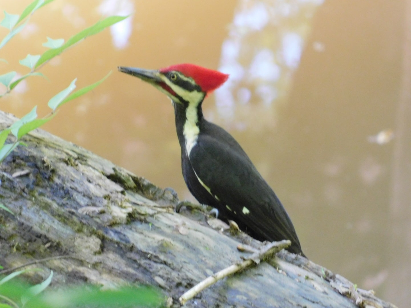 The Parklands of Floyds Fork - Louisville, KY
