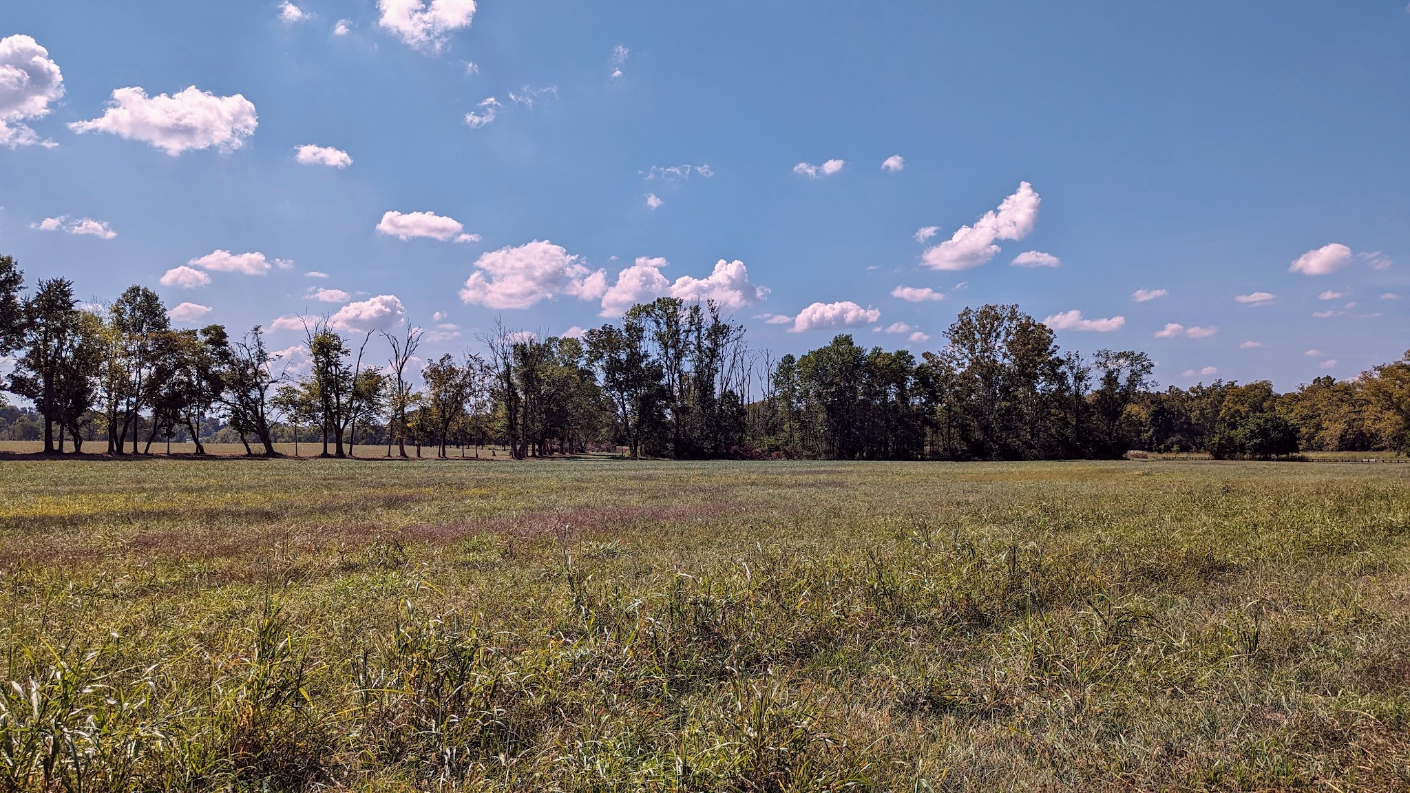 The Parklands of Floyds Fork - Louisville, KY