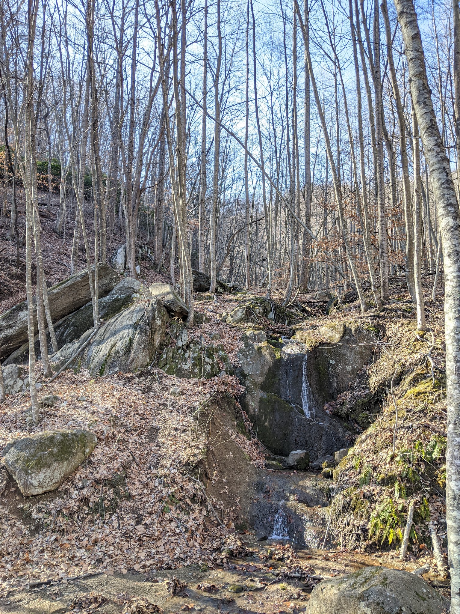 Fortune's Cove Preserve - Lovingston, VA