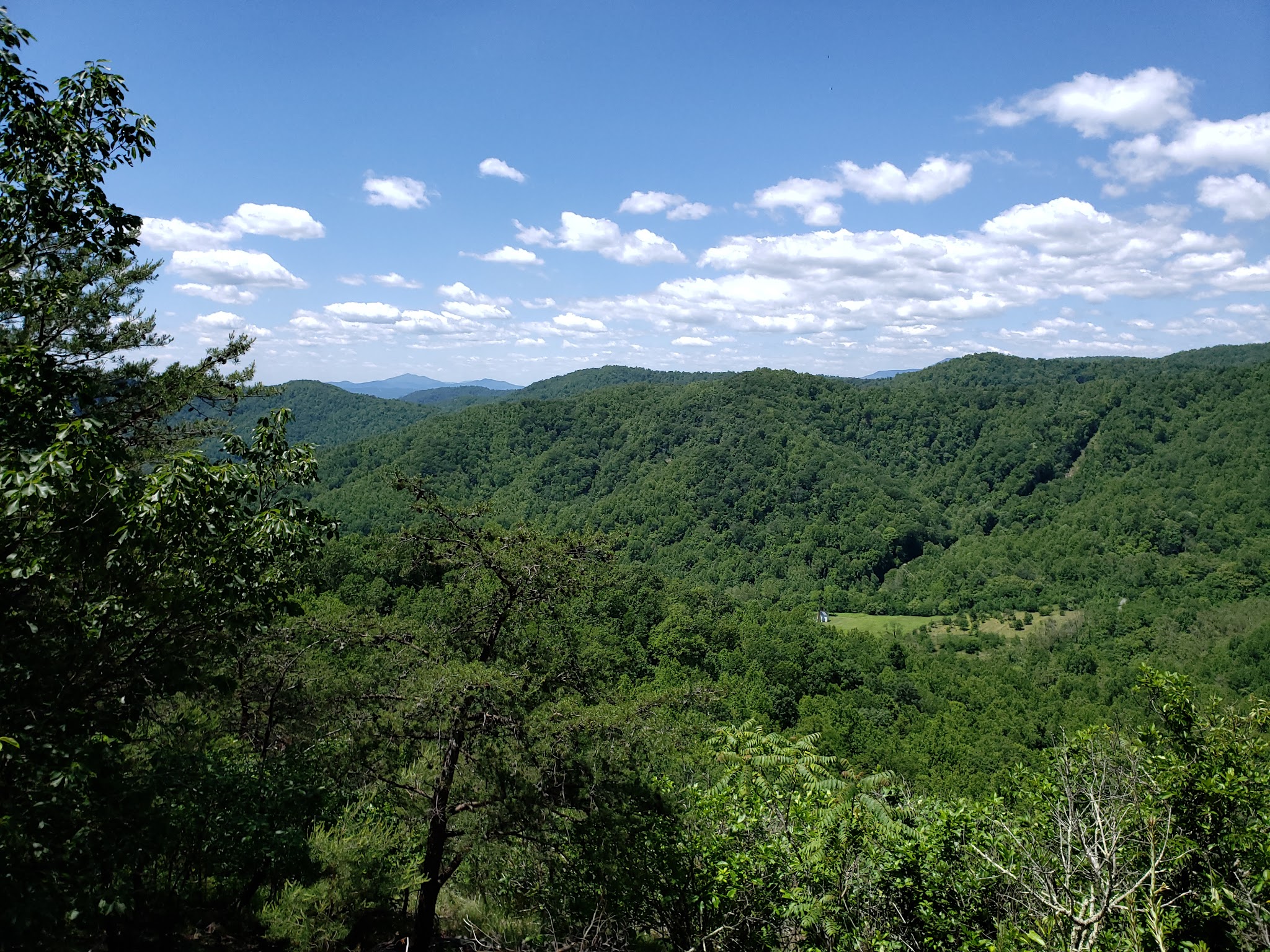 Fortune's Cove Preserve - Lovingston, VA