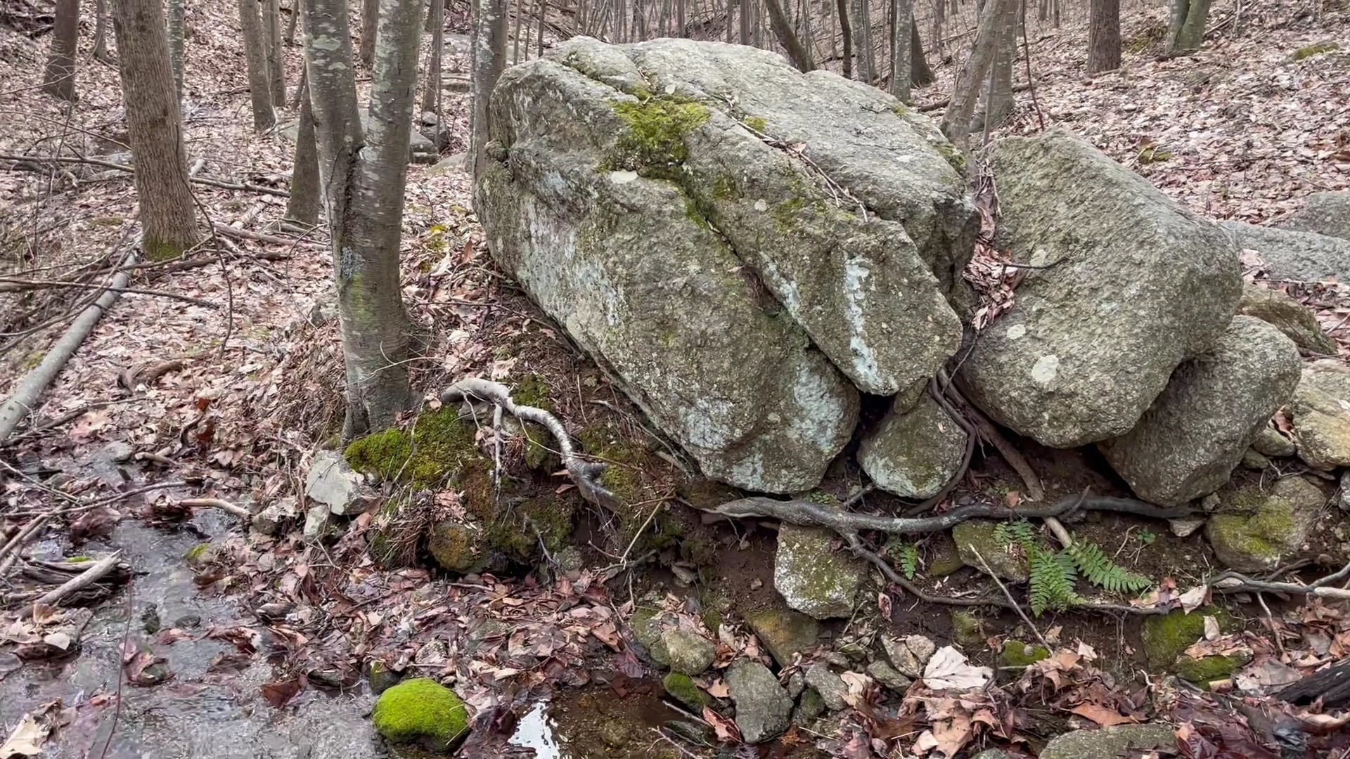 Fortune's Cove Preserve - Lovingston, VA