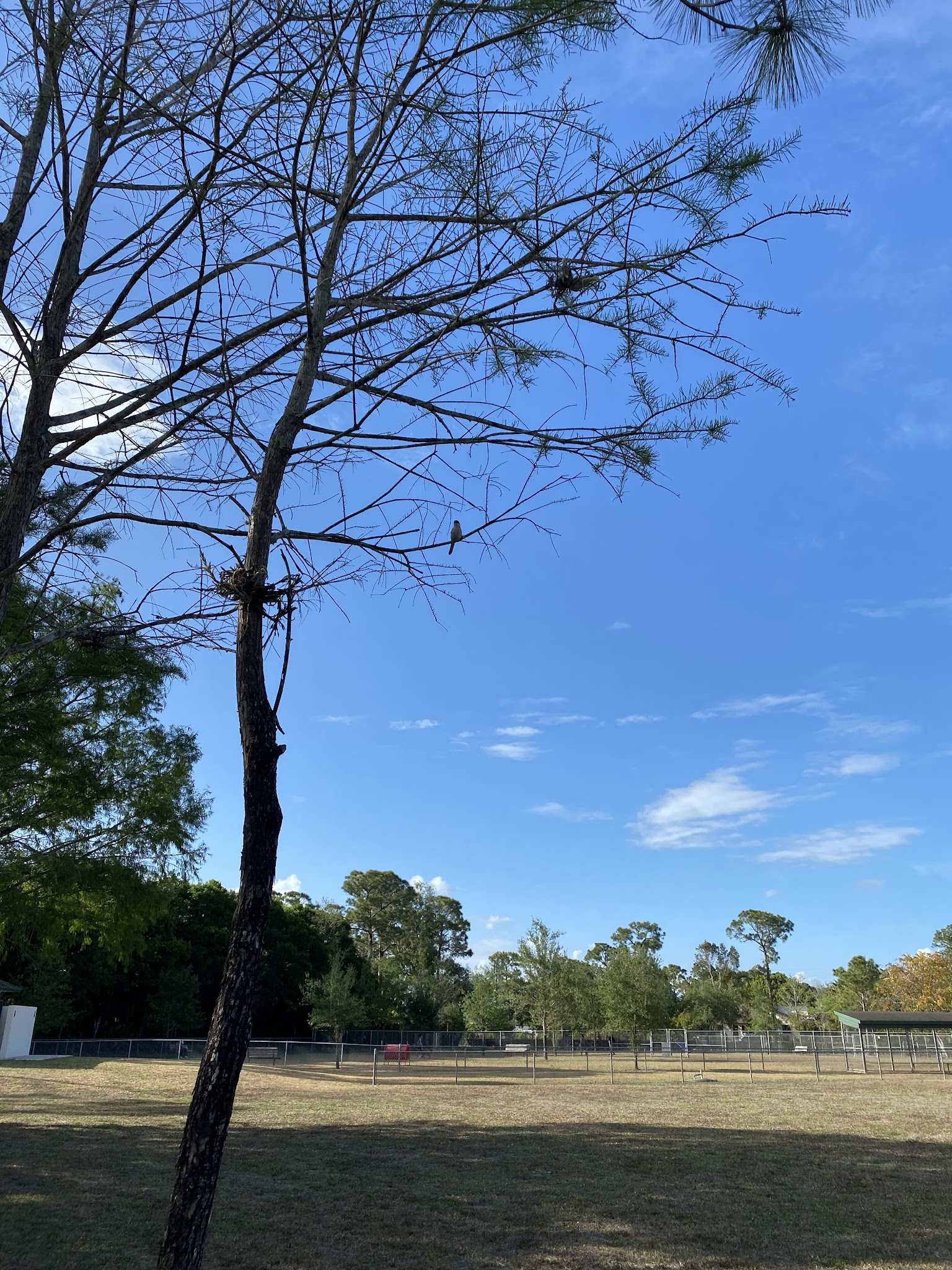 Downers Dog Park - Loxahatchee, FL