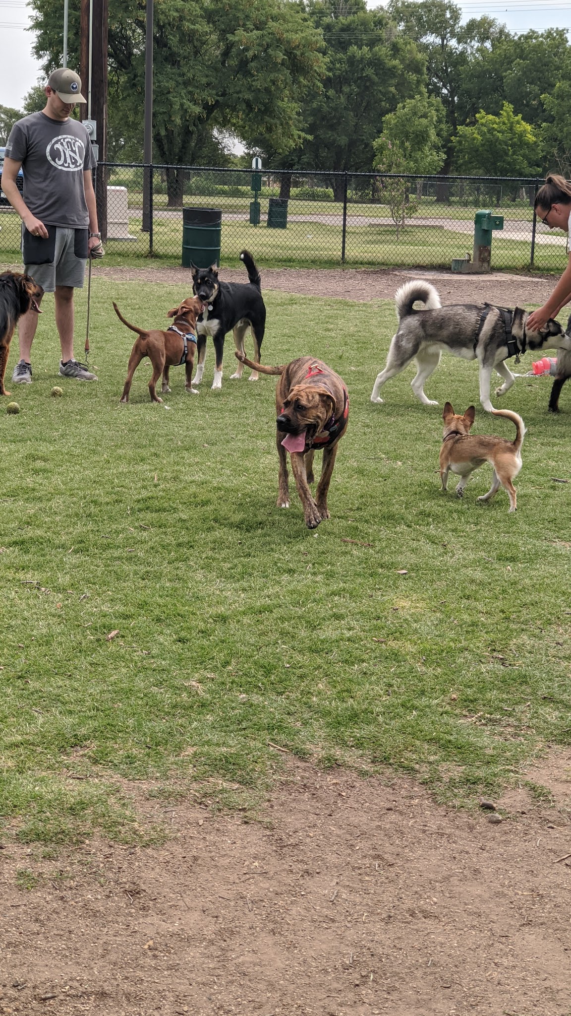 MacKenzie Canyon Run Dog Park - Lubbock, TX