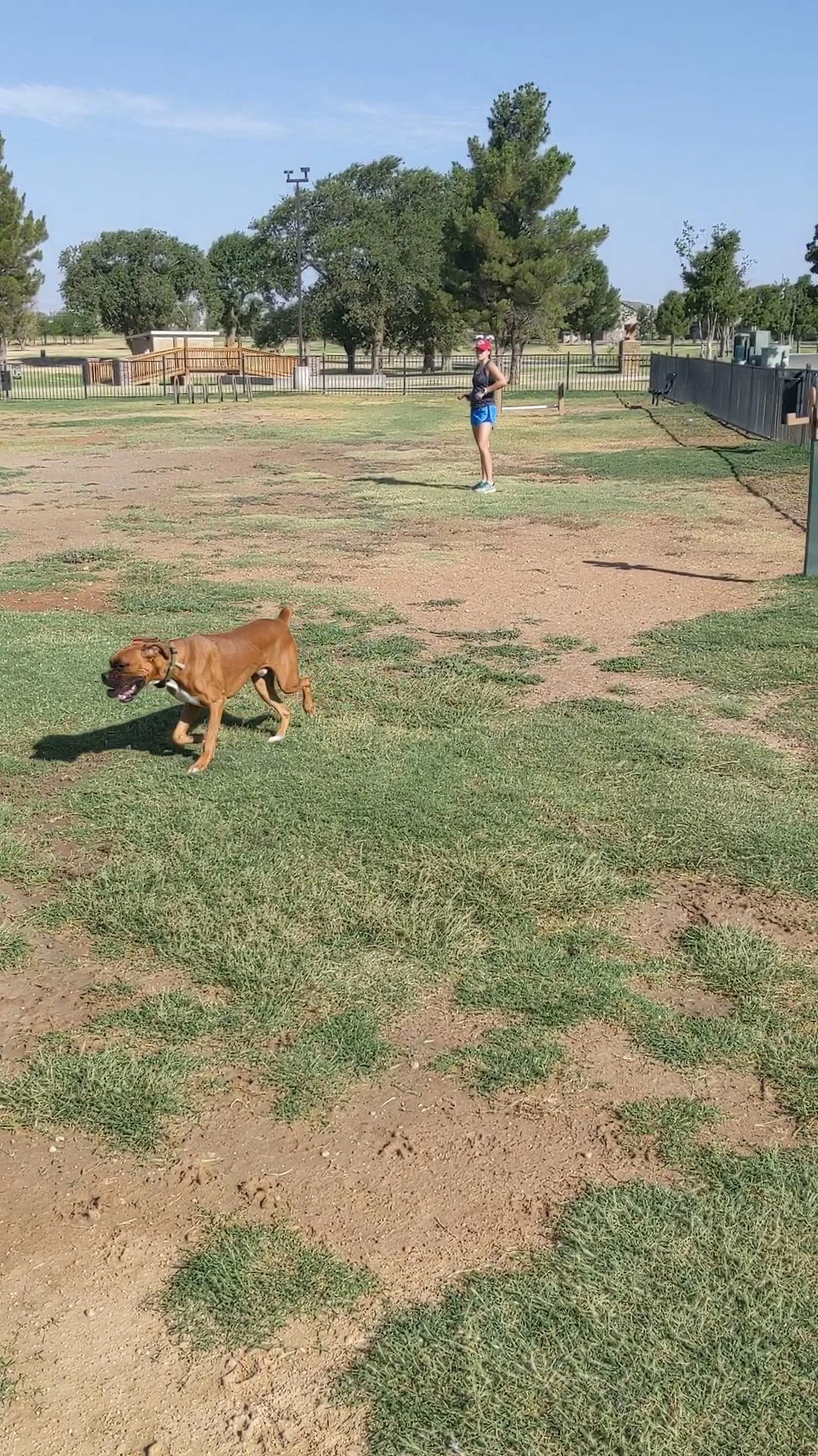 Private Dog Park Lubbock - Lubbock, TX